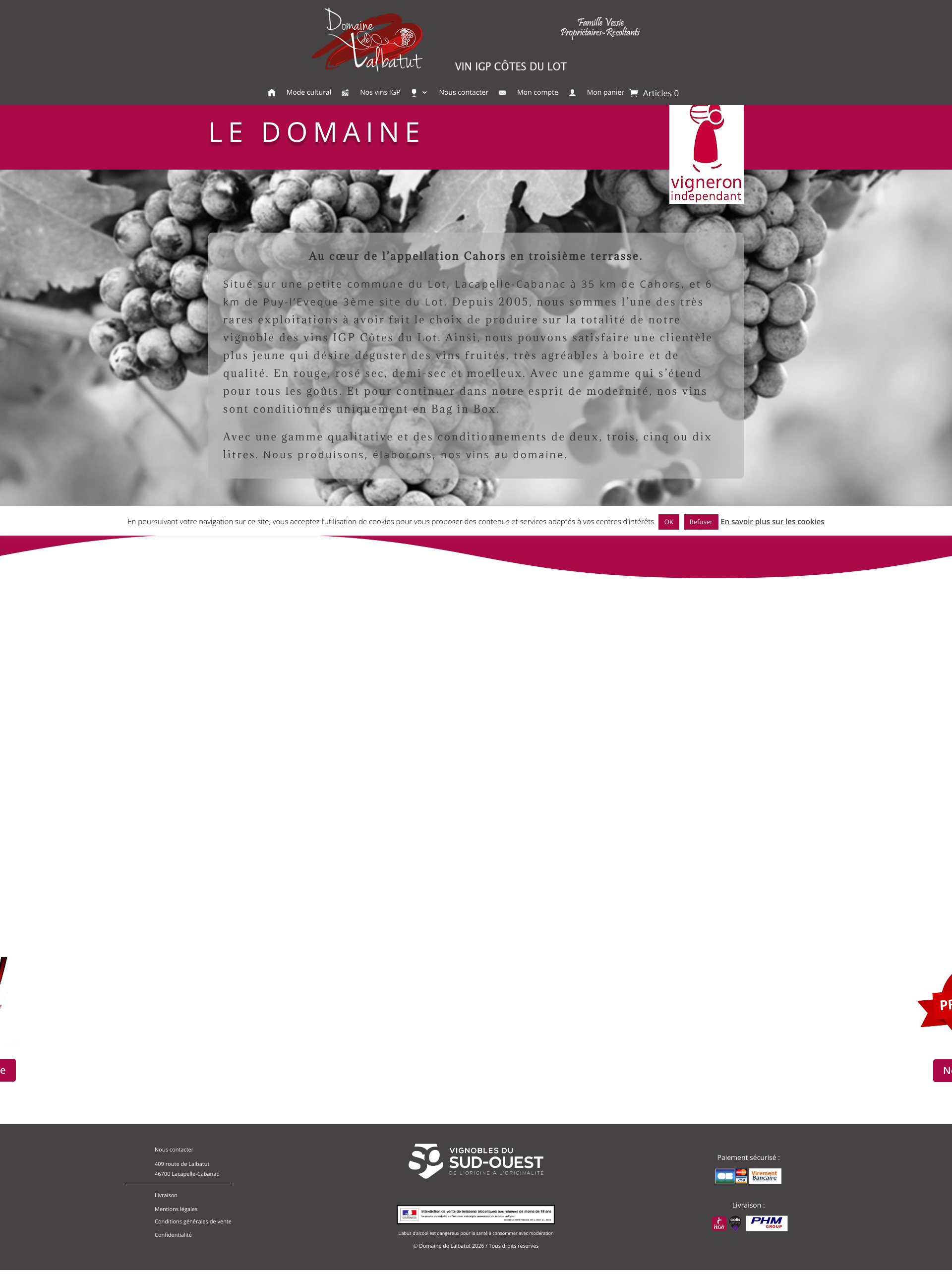Aperçu du site