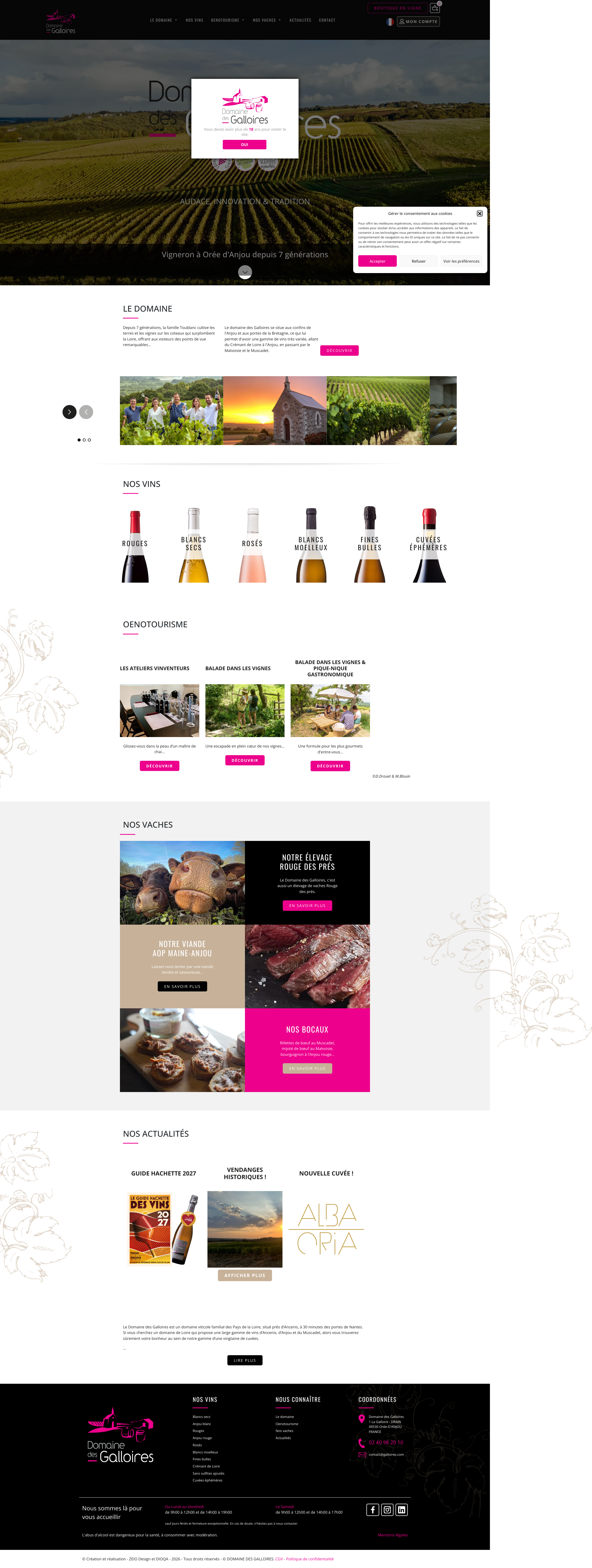 Aperçu du site