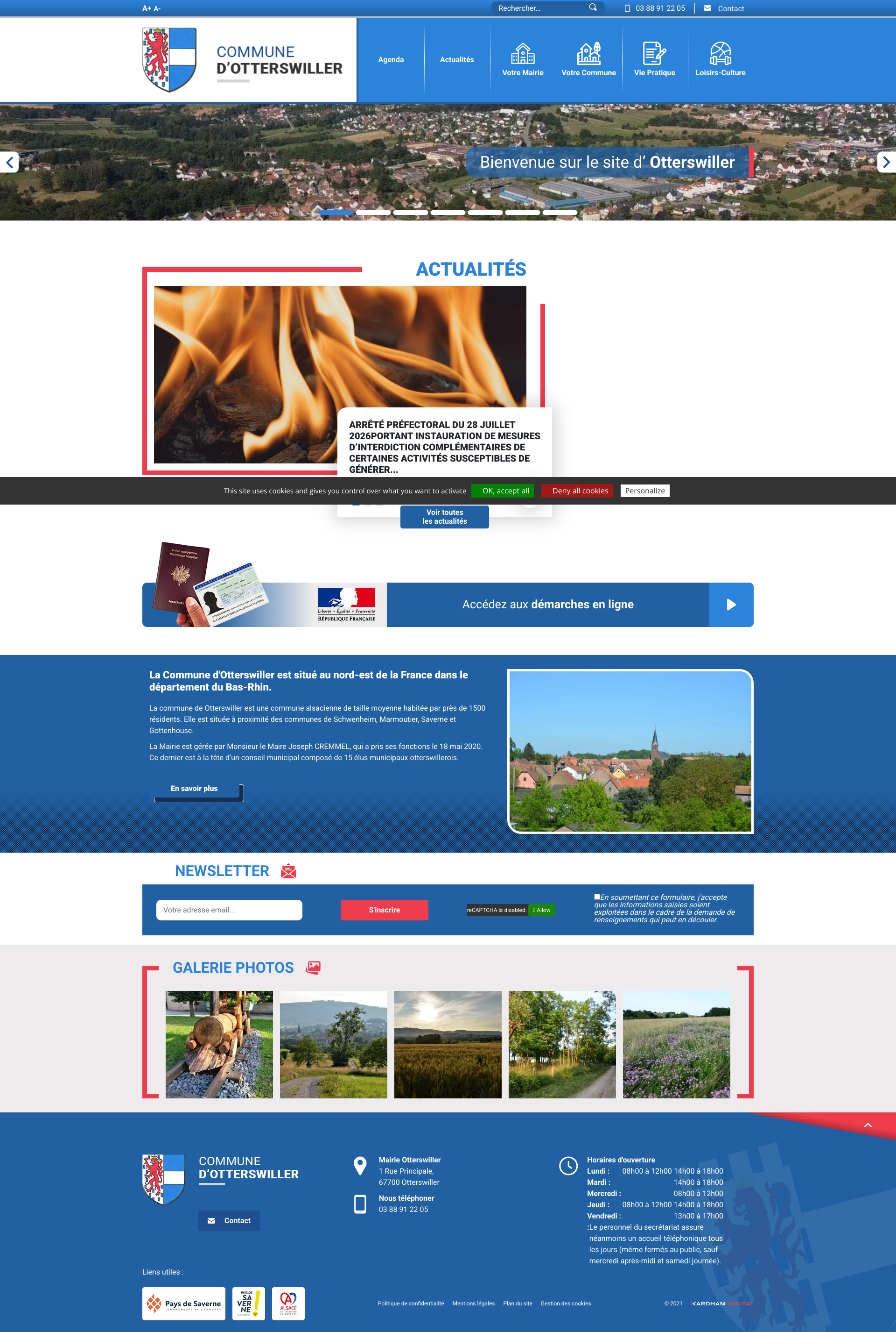 Aperçu du site
