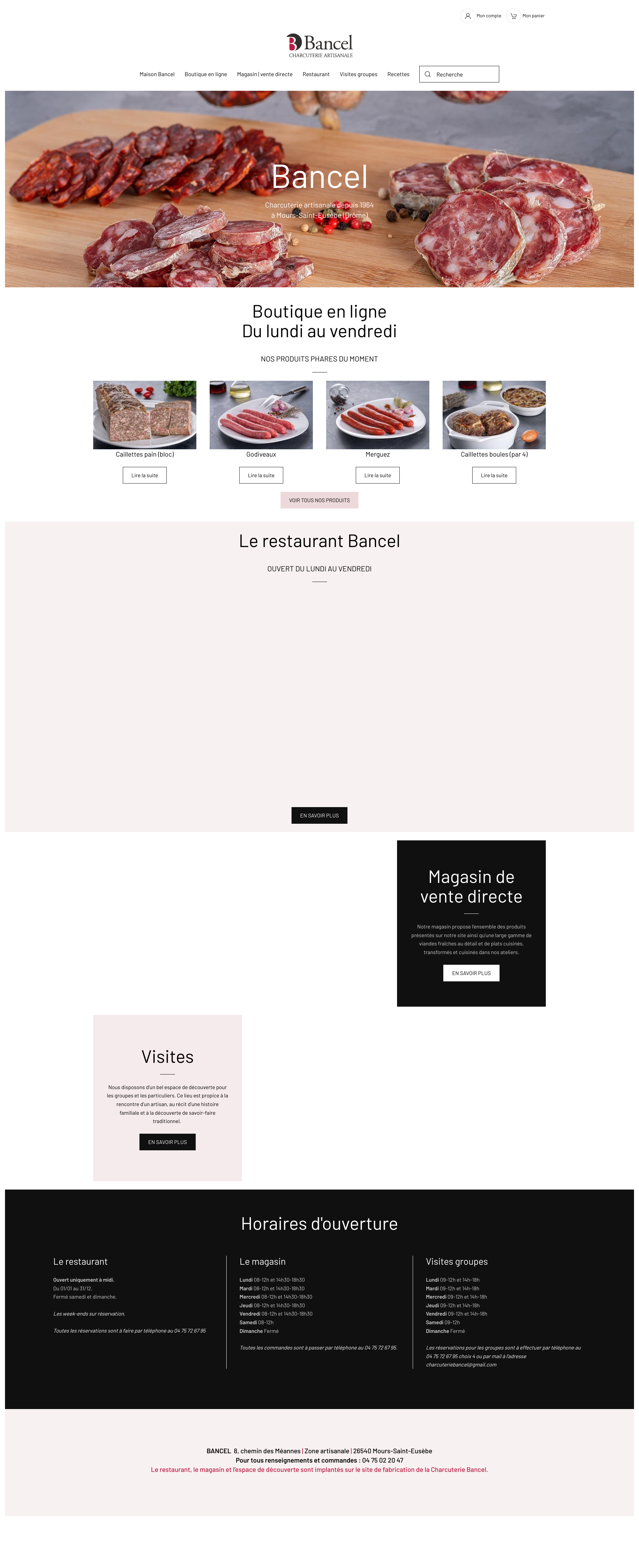 Aperçu du site