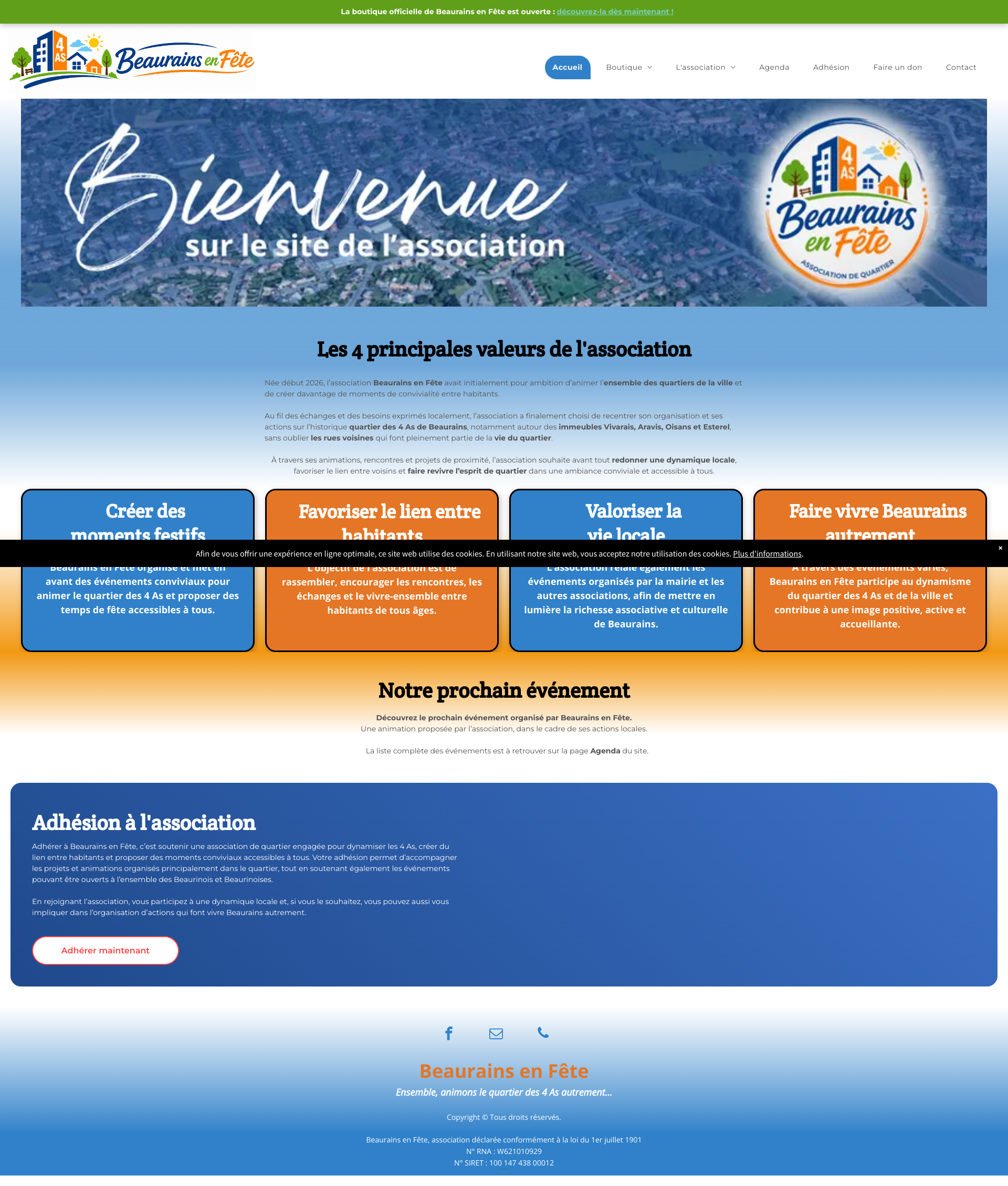 Aperçu du site