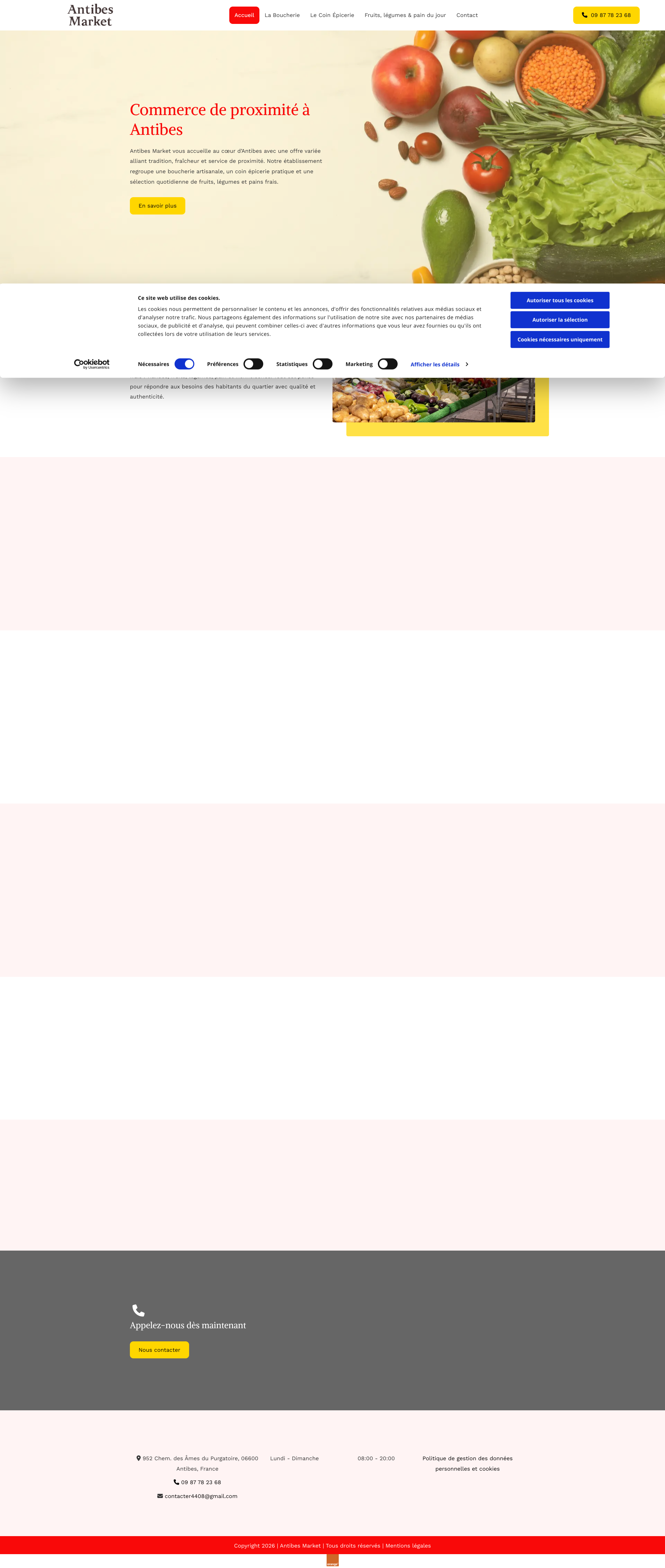 Aperçu du site