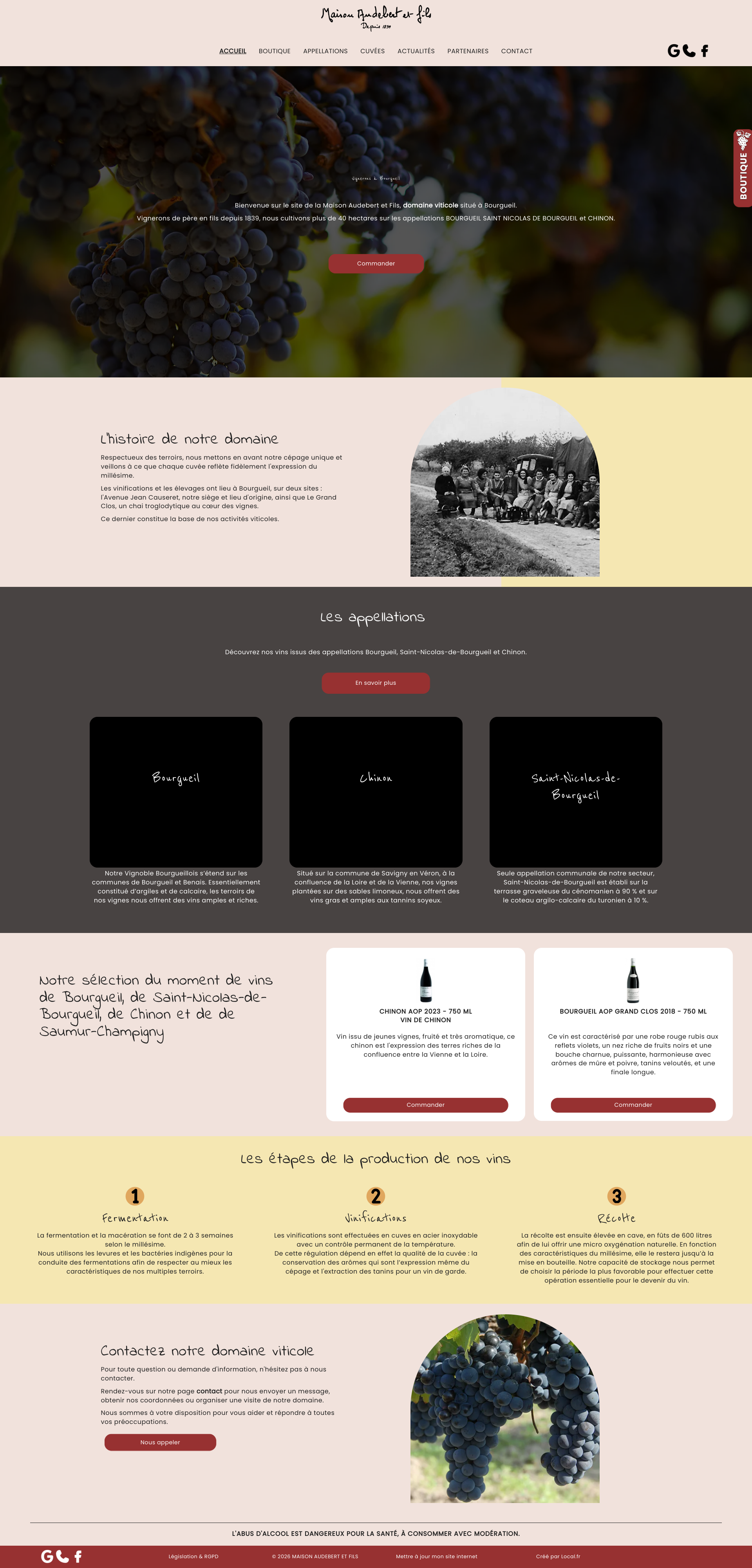 Aperçu du site