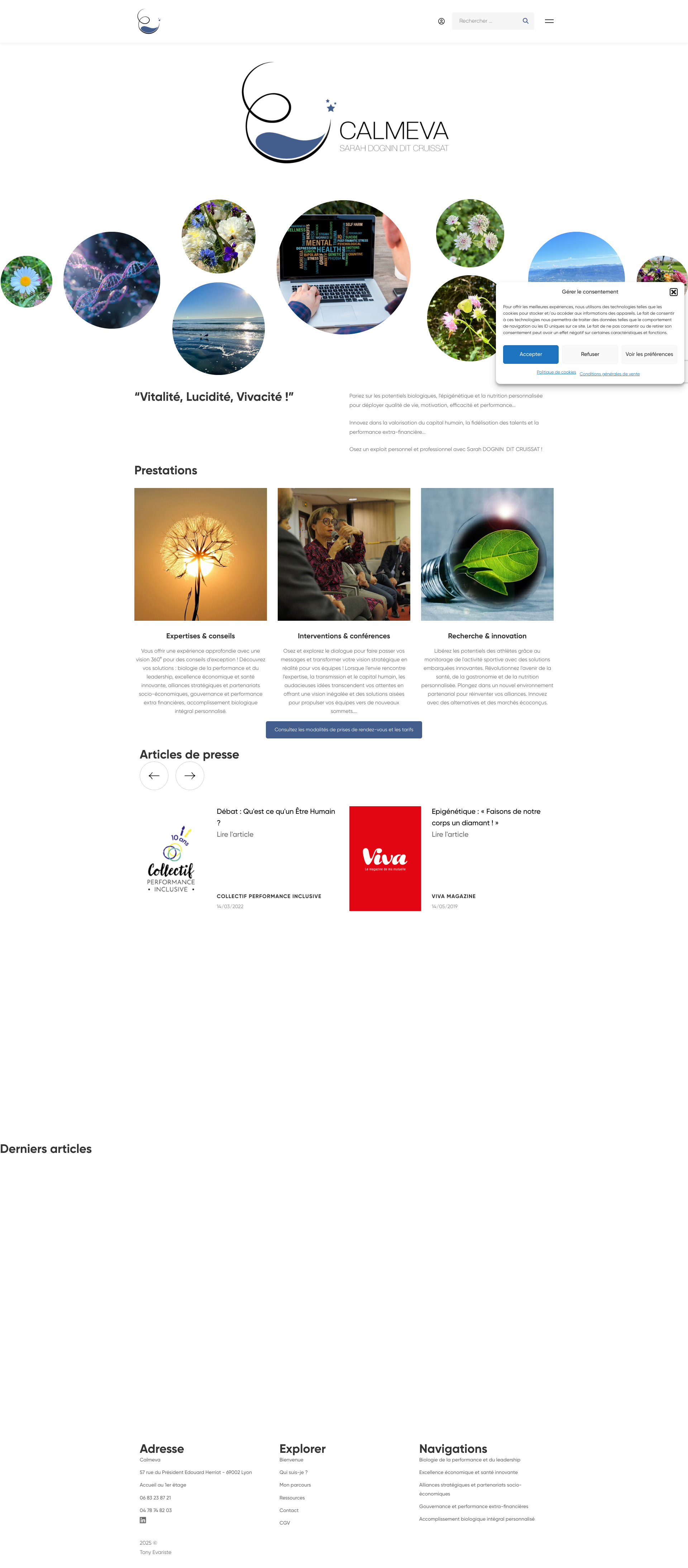 Aperçu du site