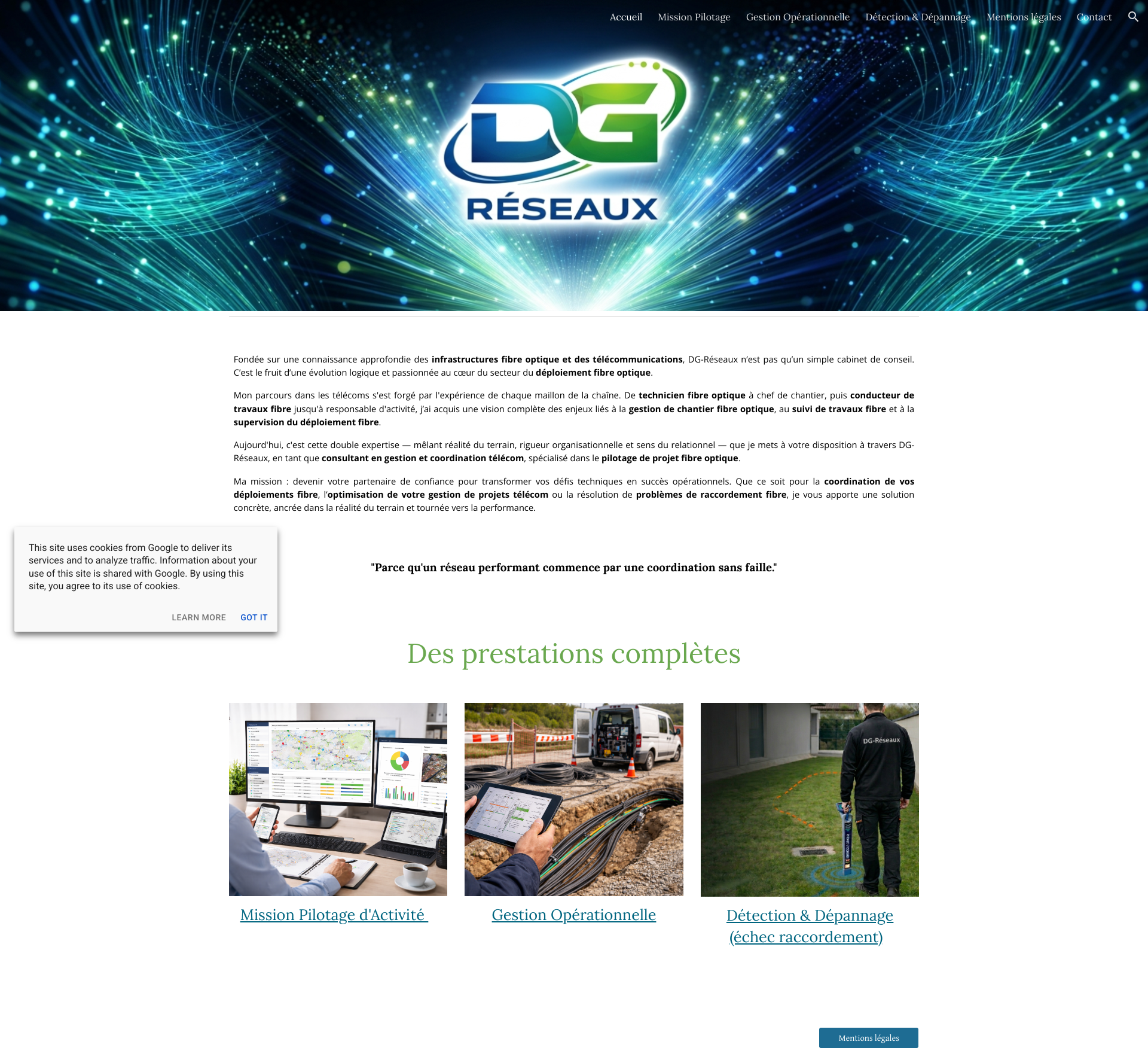 Aperçu du site