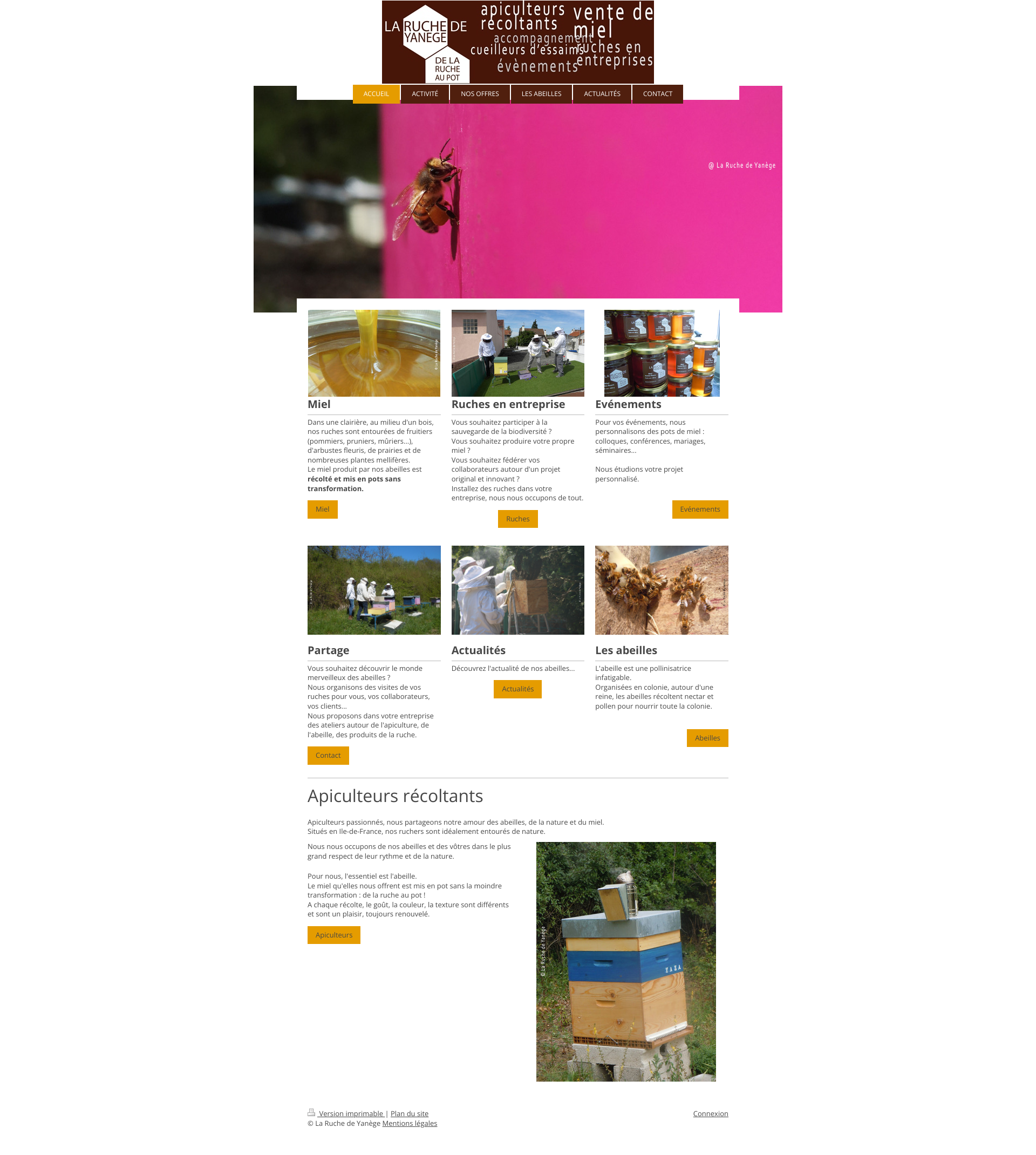 Aperçu du site