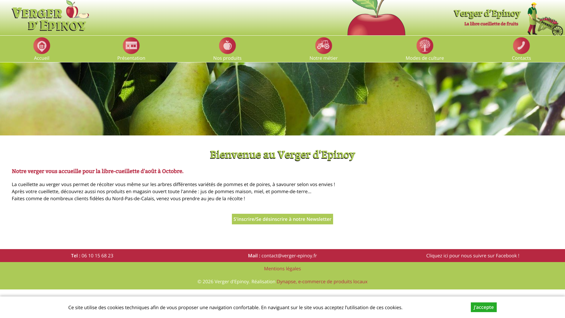 Aperçu du site