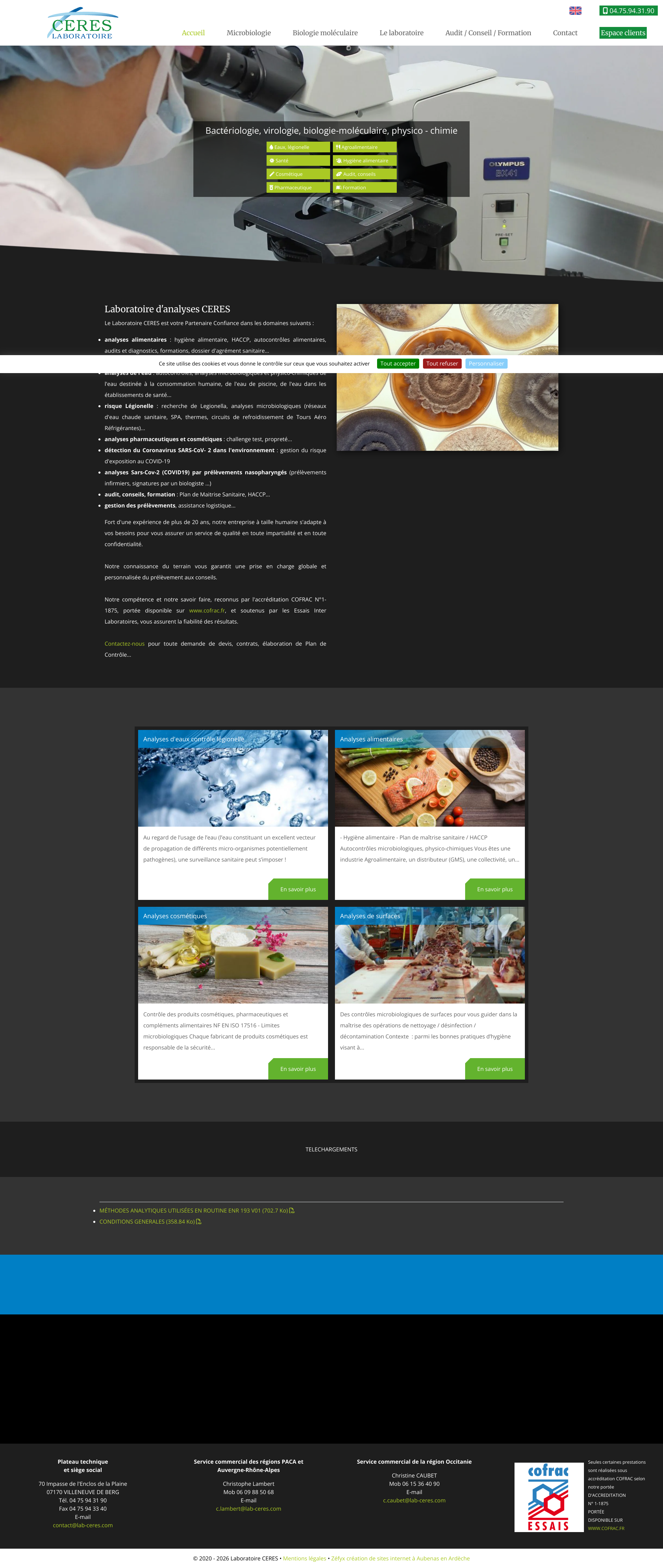 Aperçu du site