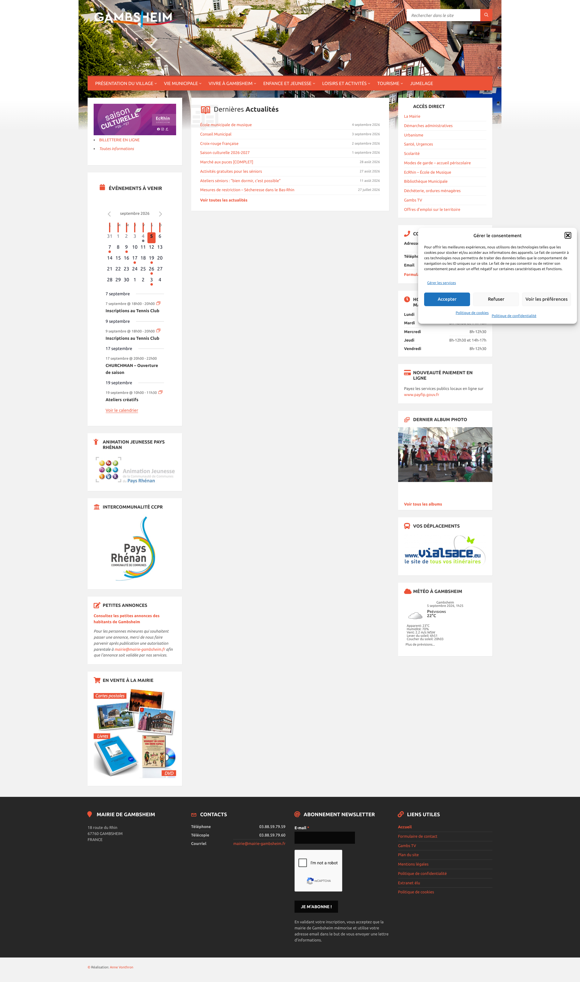 Aperçu du site