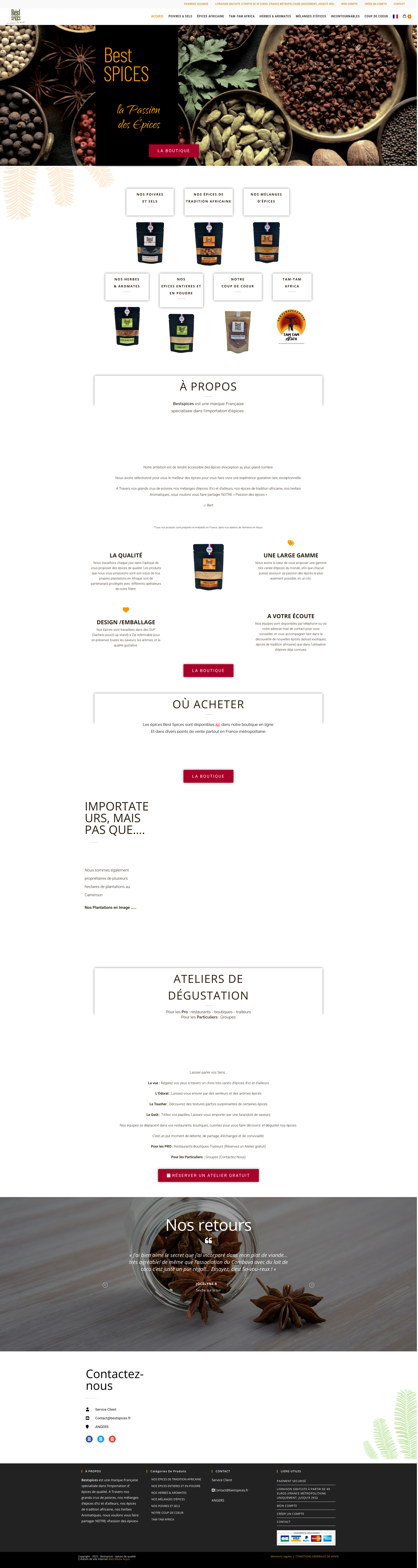 Aperçu du site