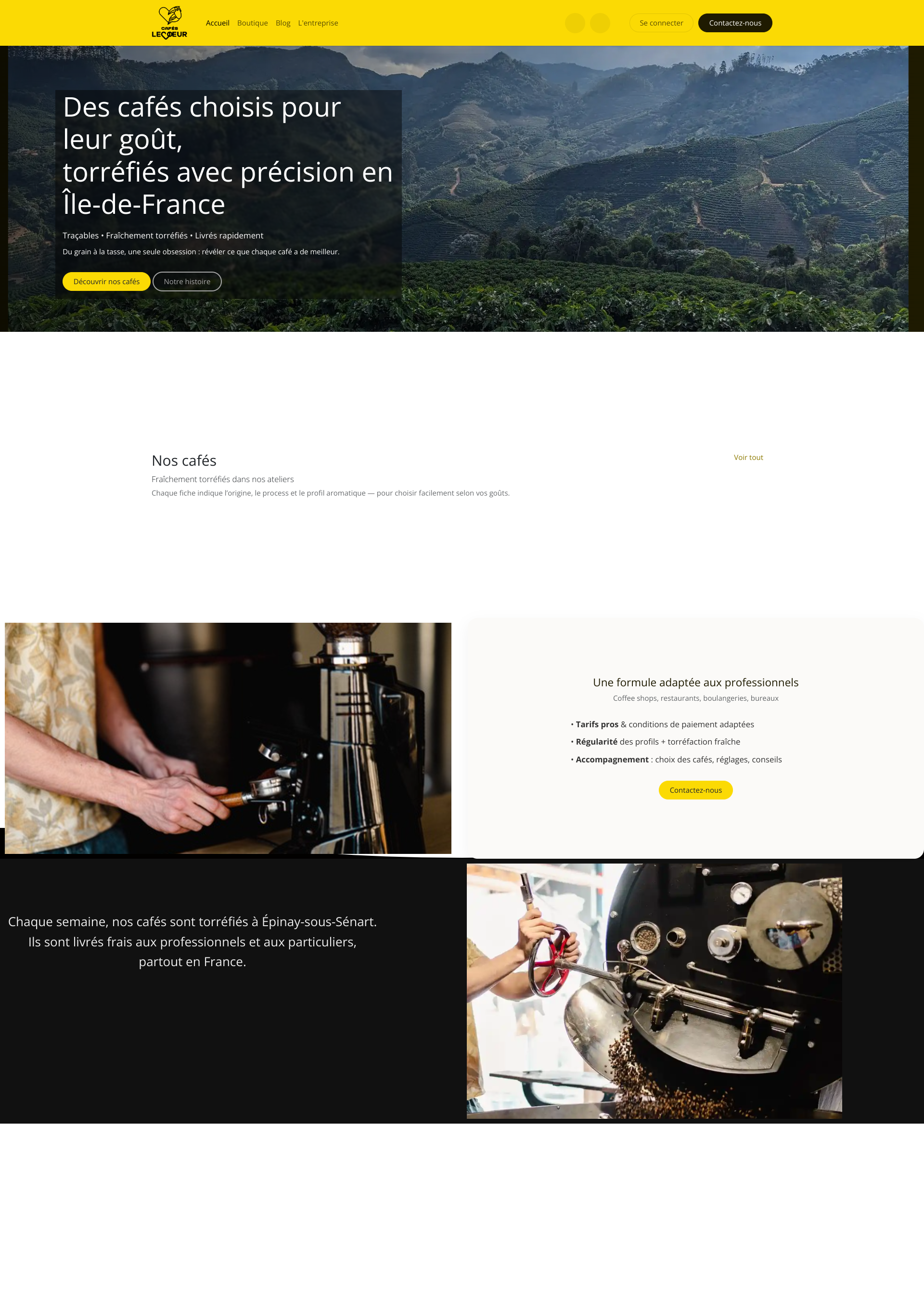 Aperçu du site