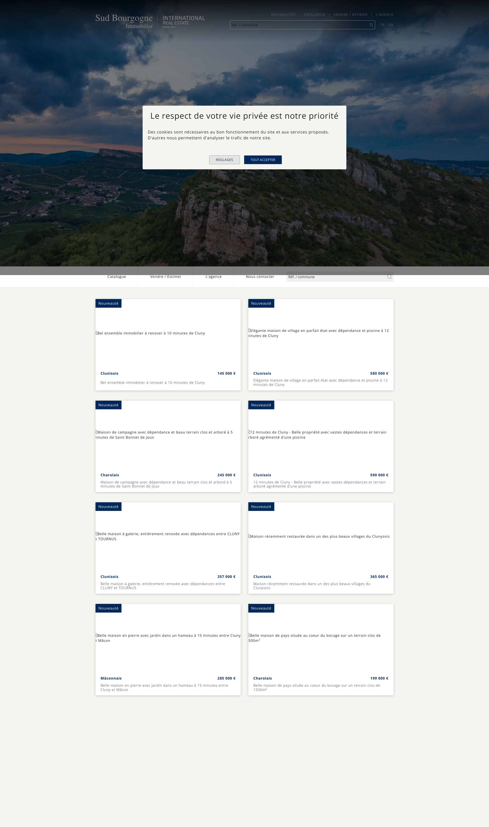 Aperçu du site