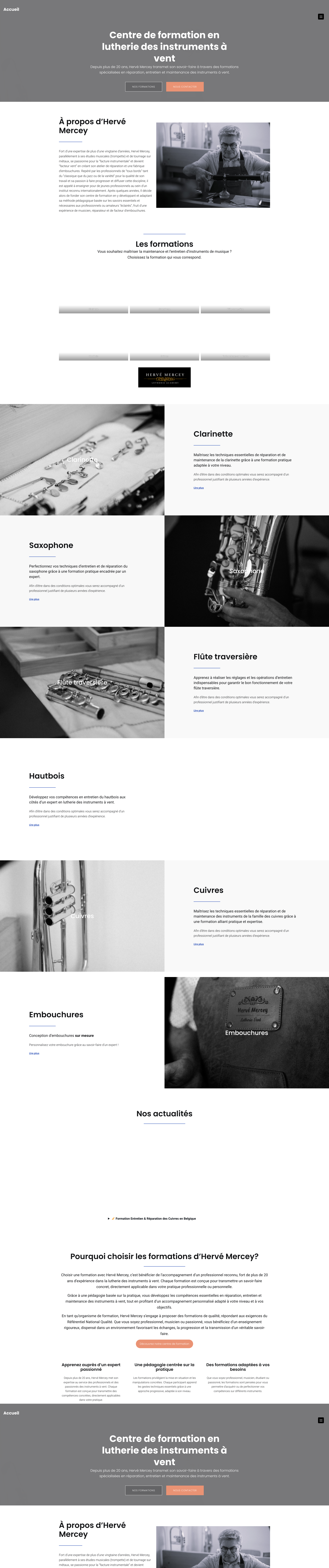Aperçu du site
