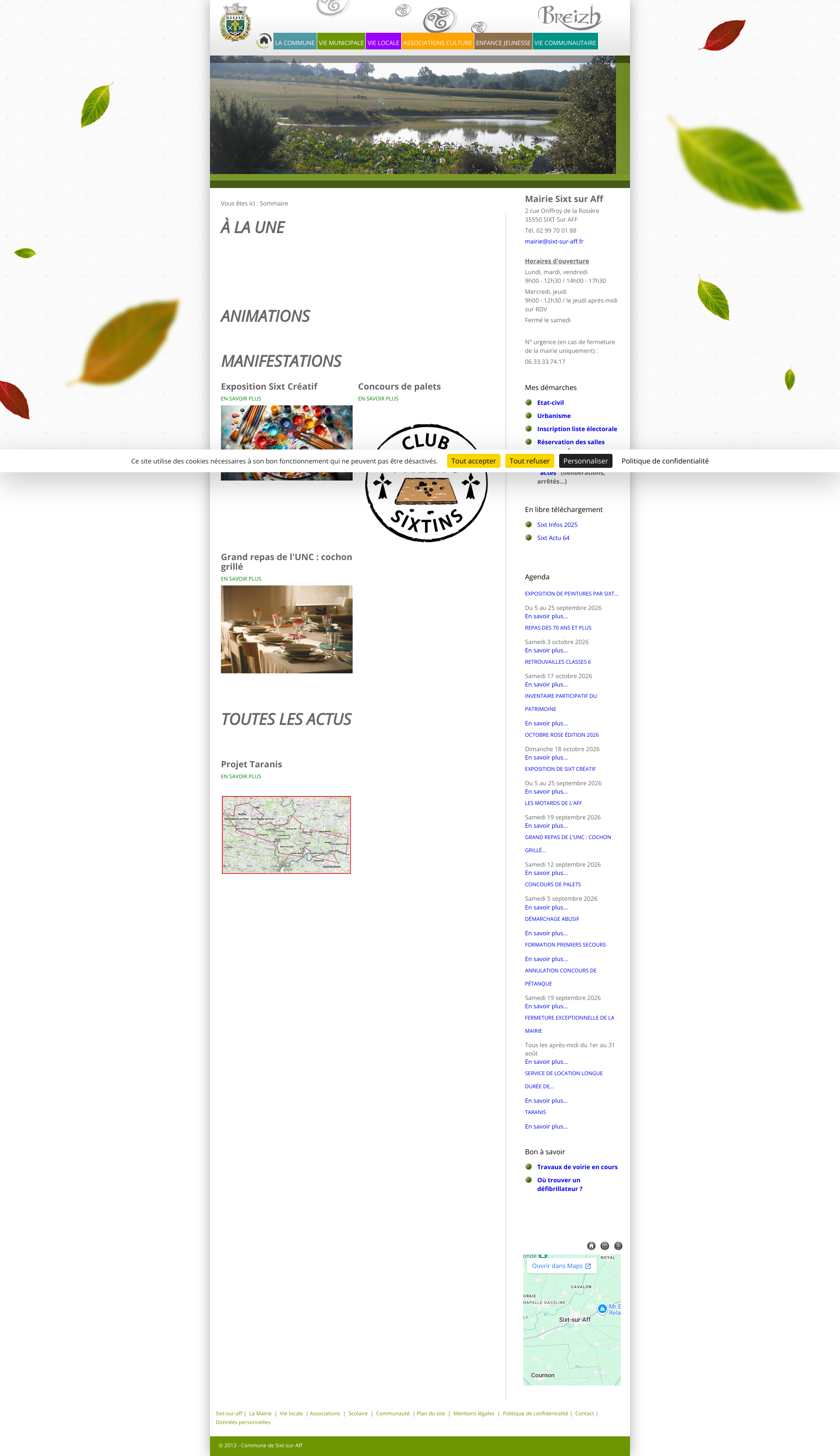 Aperçu du site