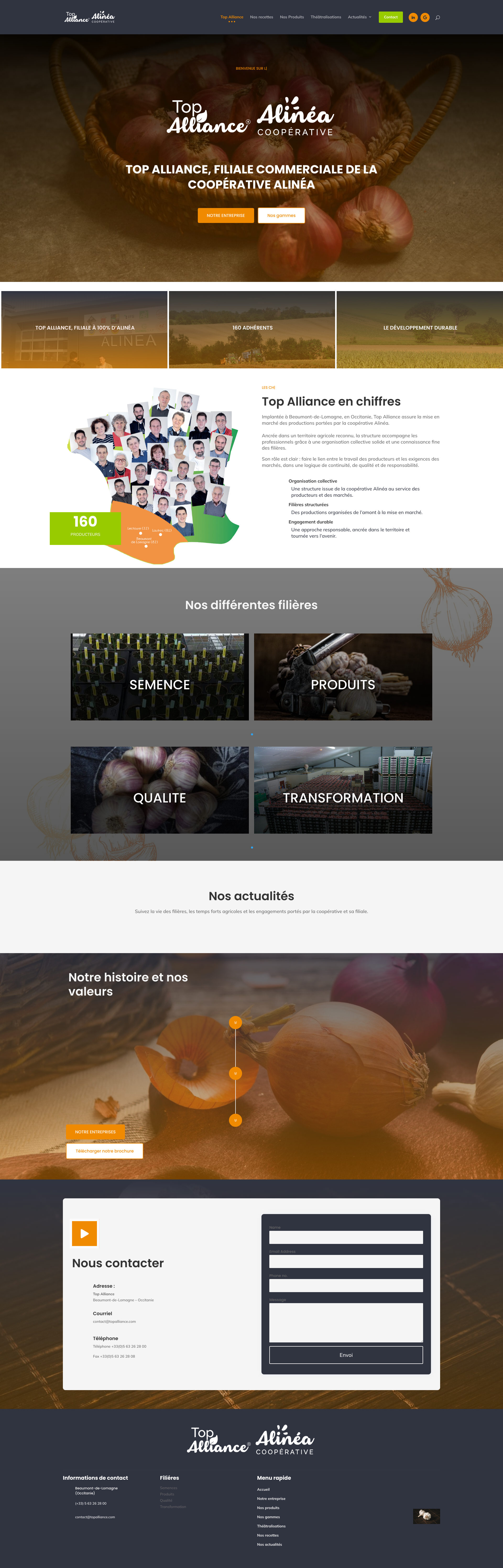 Aperçu du site