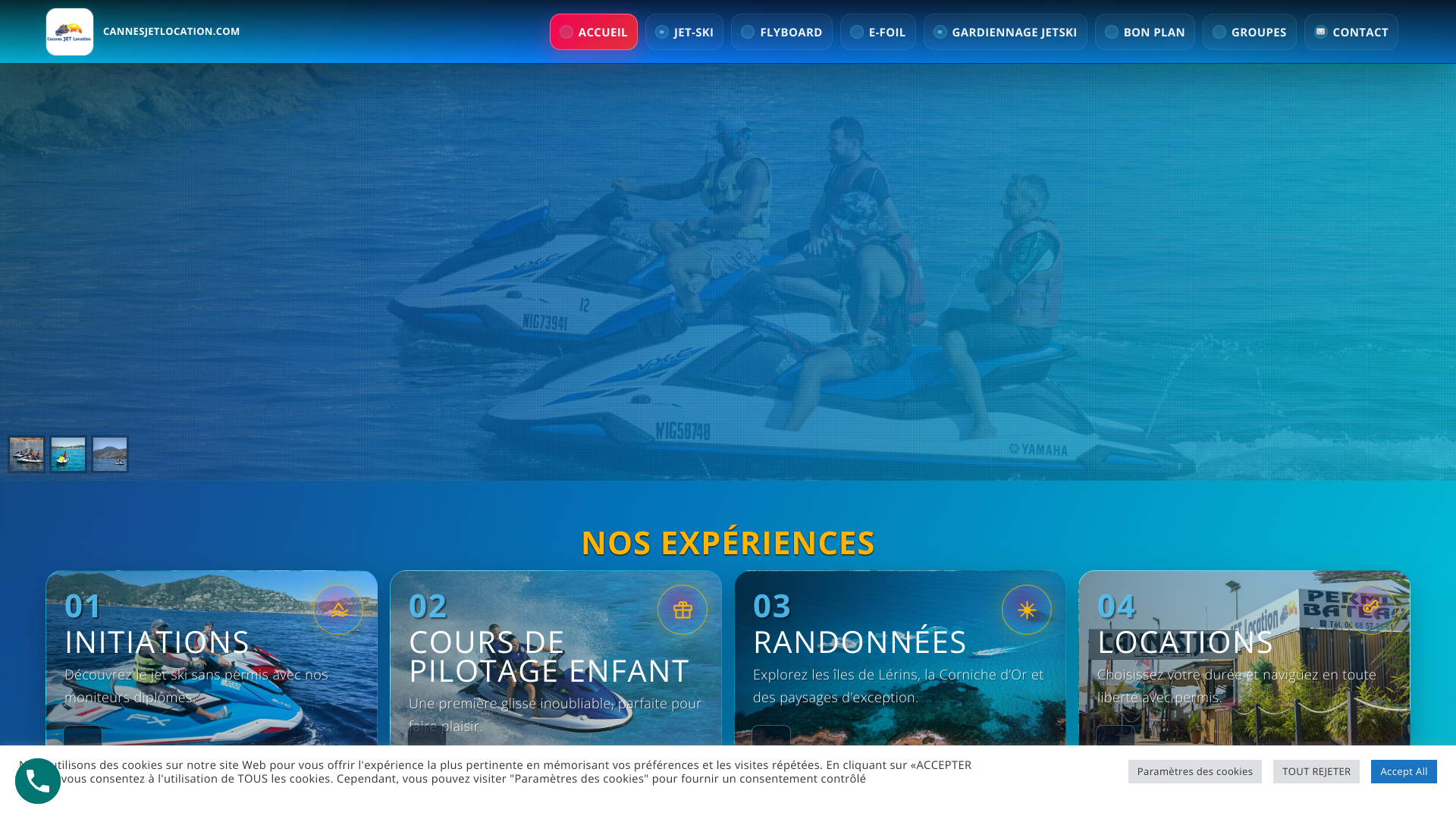 Aperçu du site