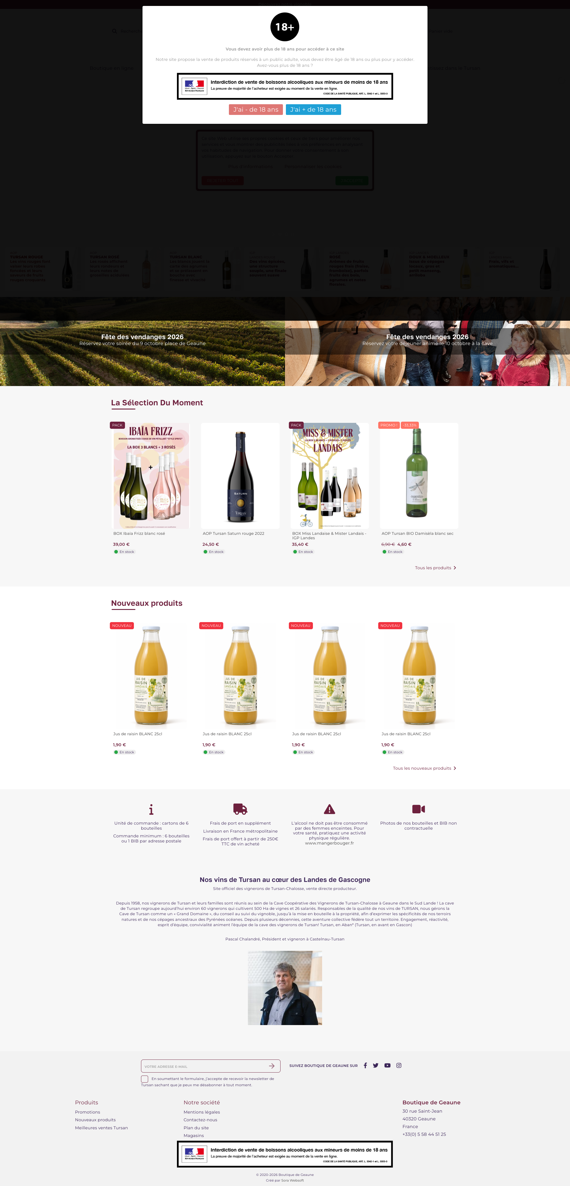 Aperçu du site