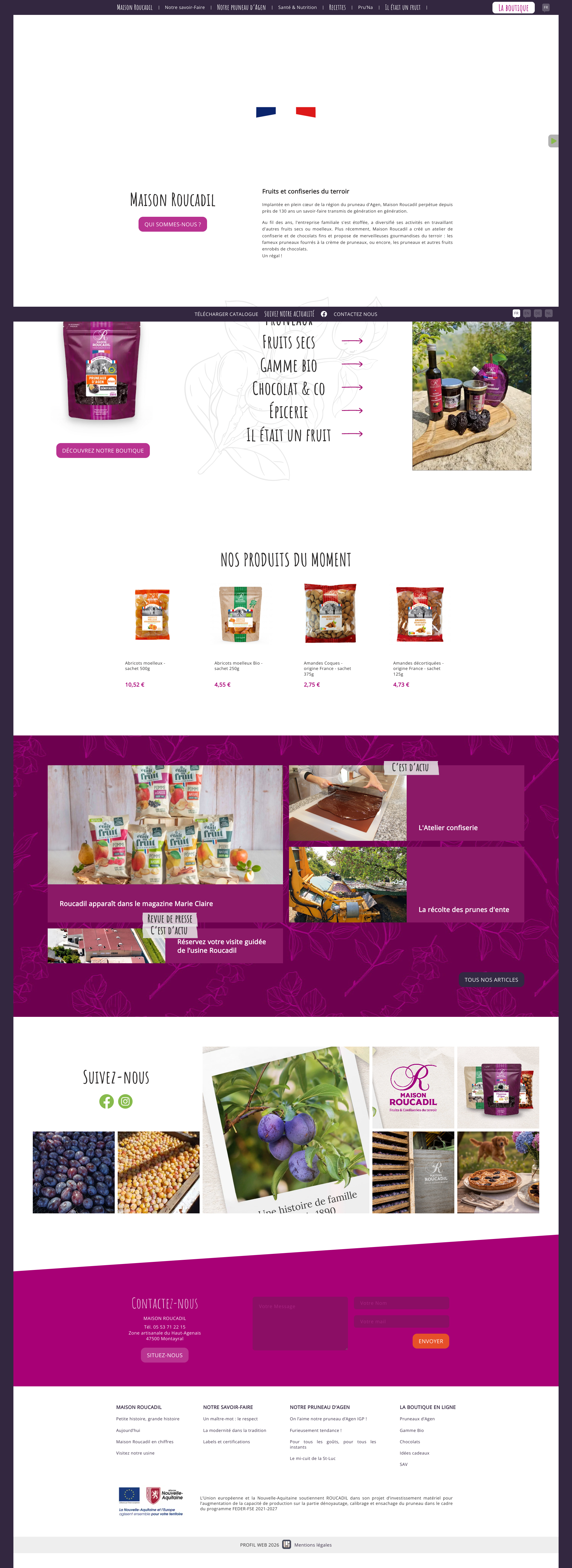 Aperçu du site