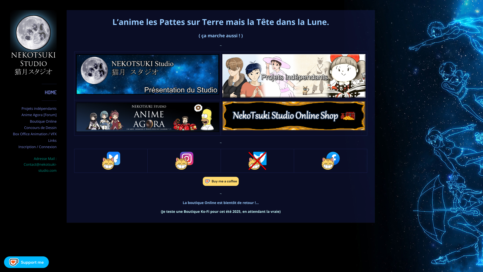 Aperçu du site