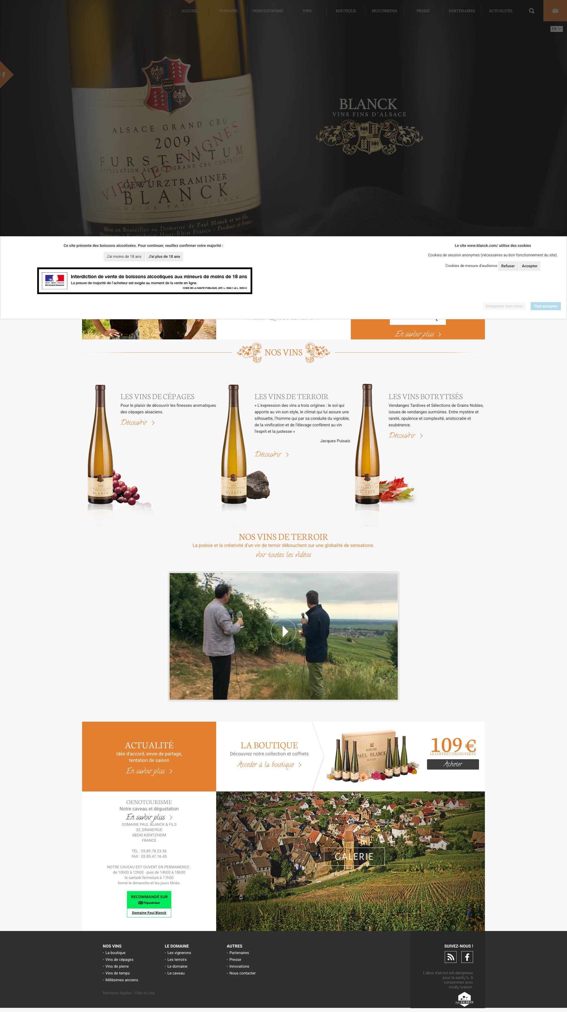 Aperçu du site