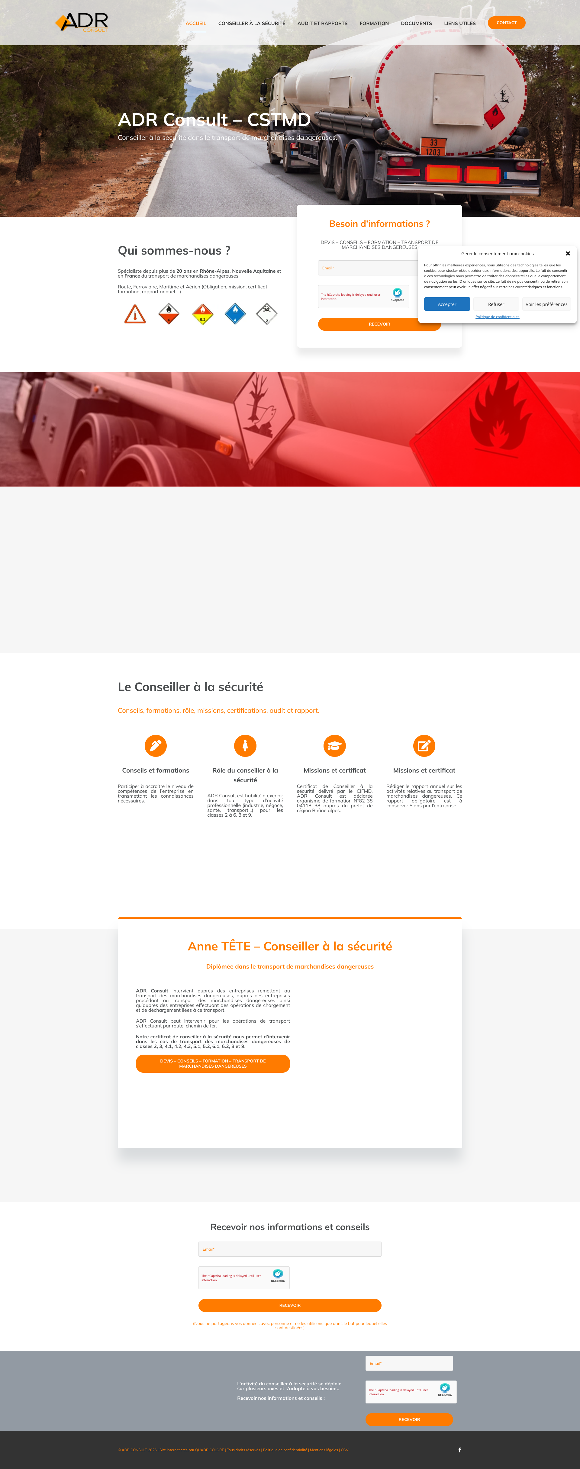 Aperçu du site