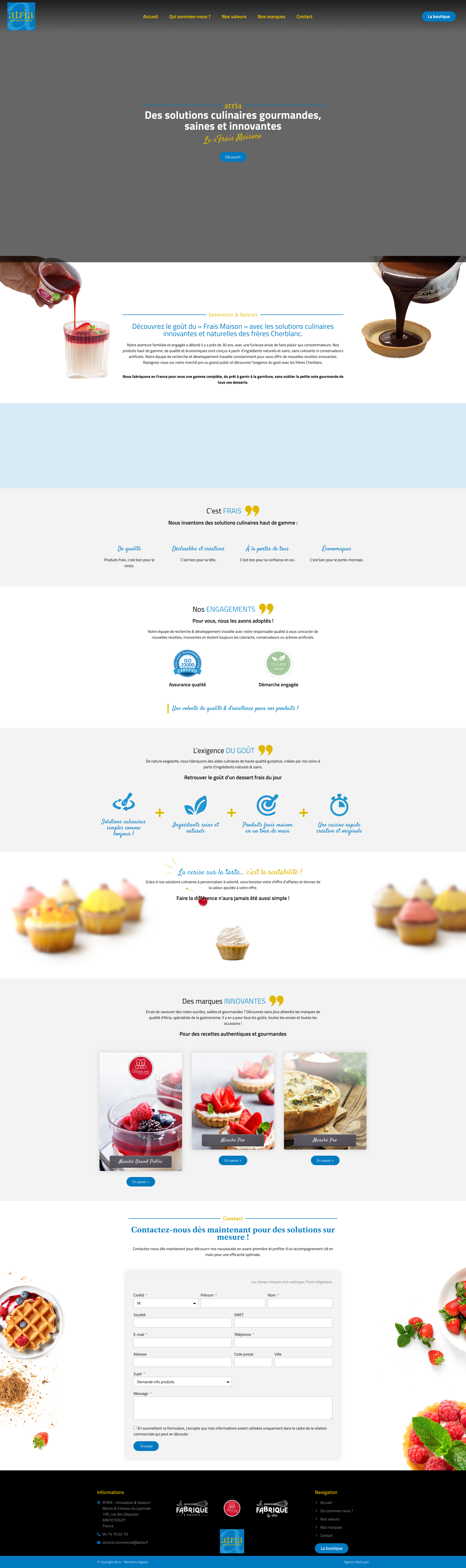 Aperçu du site