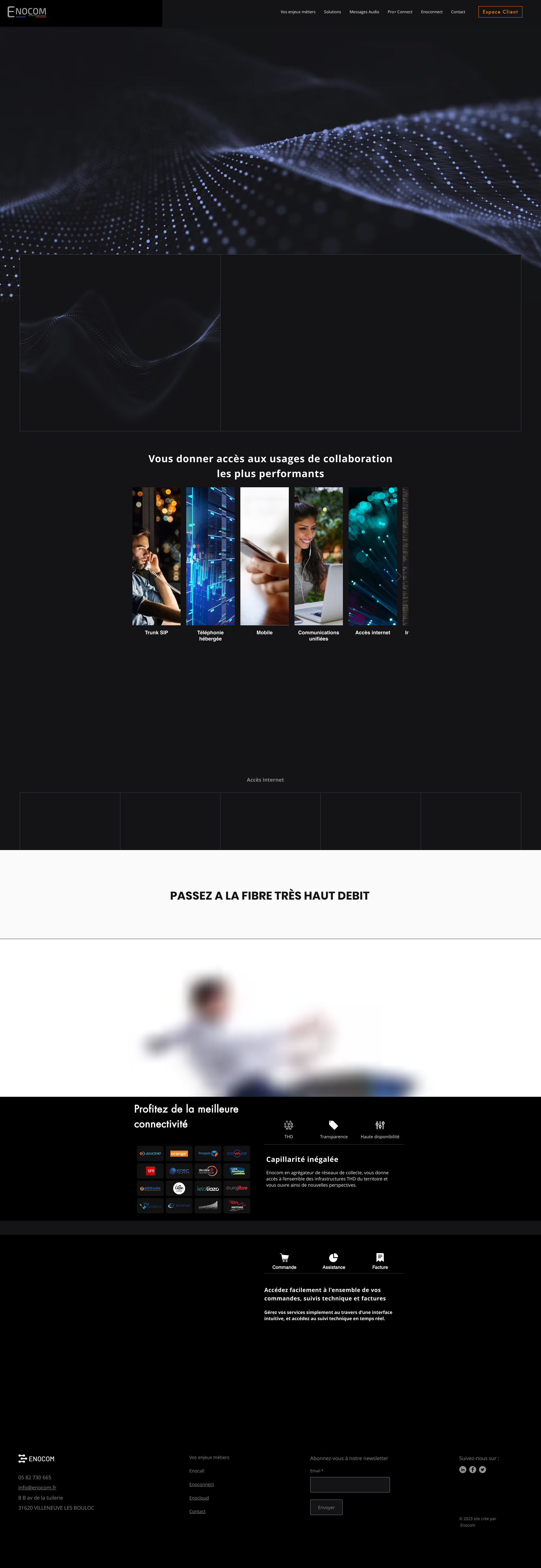 Aperçu du site