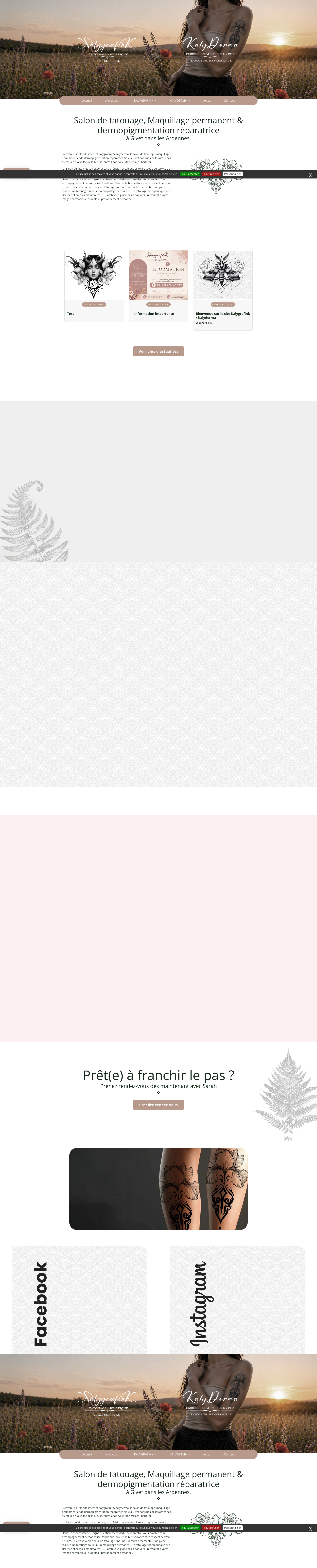 Aperçu du site