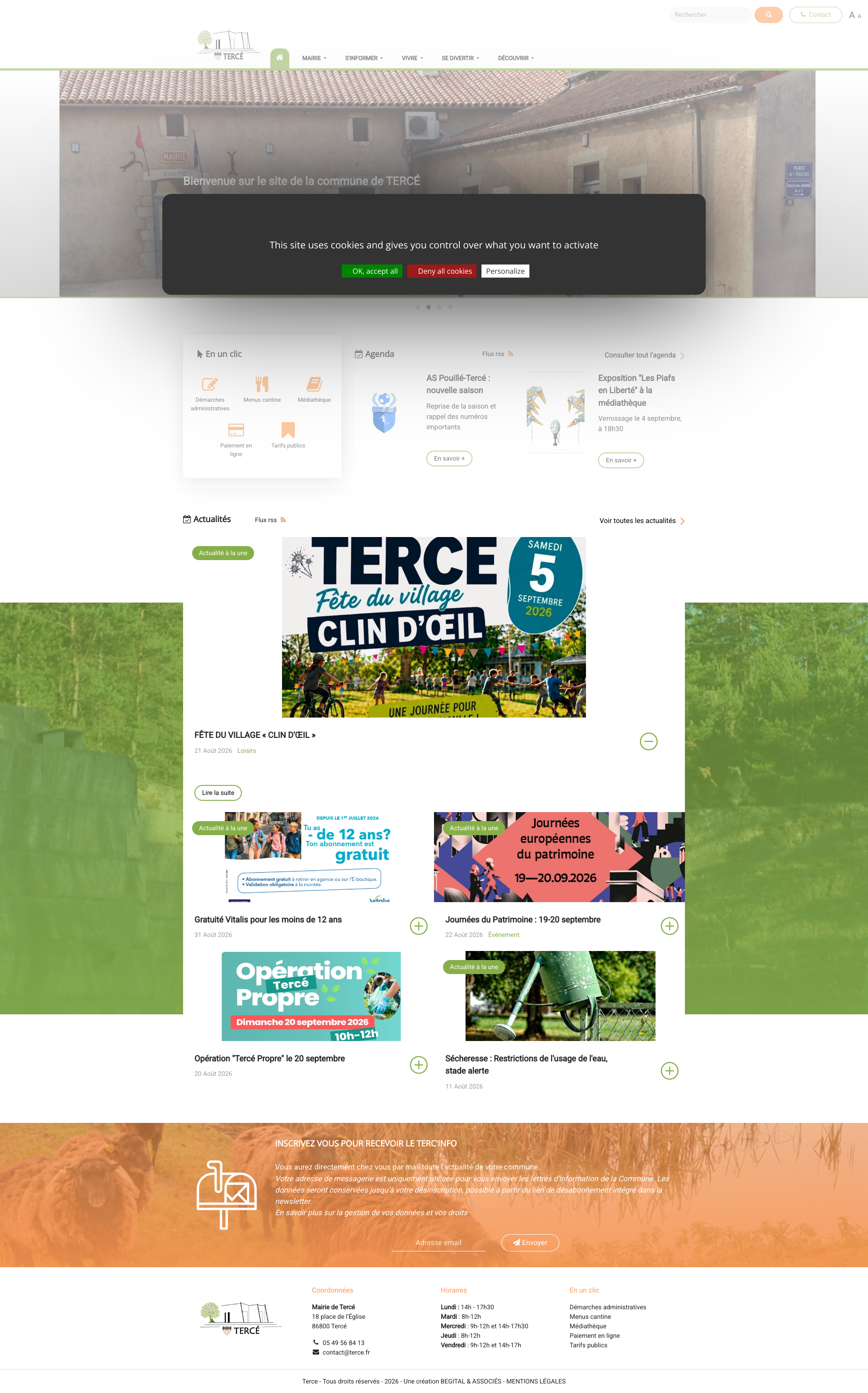 Aperçu du site