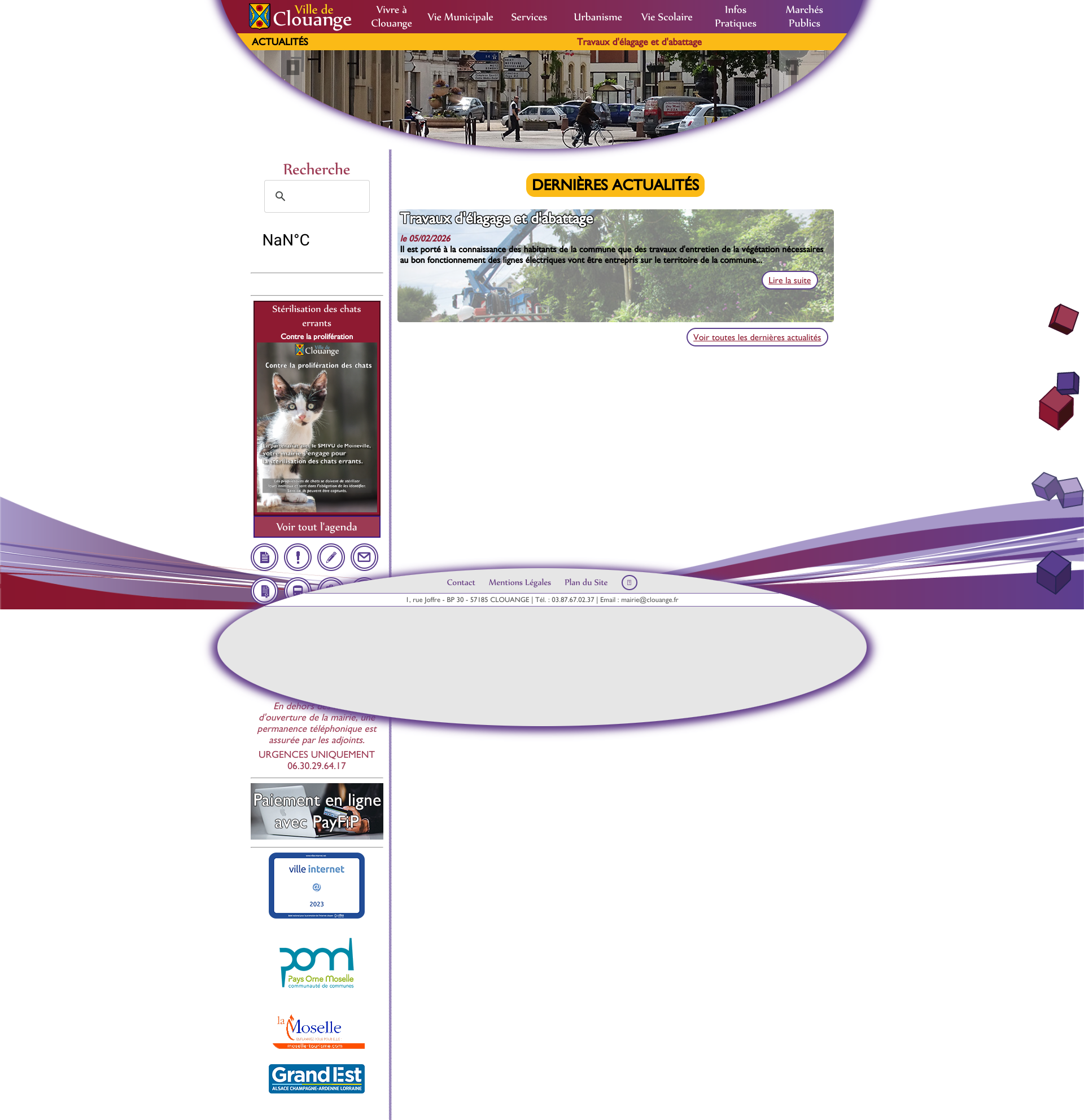Aperçu du site
