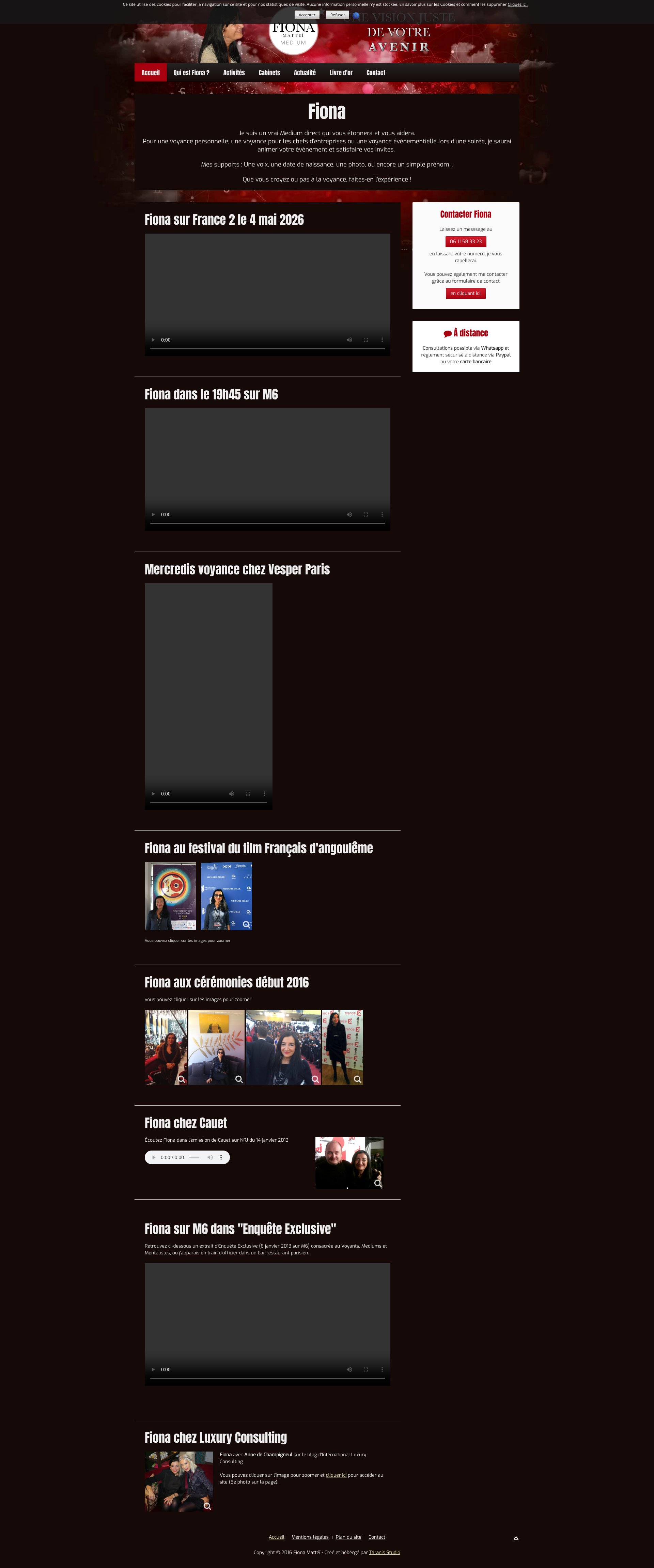 Aperçu du site