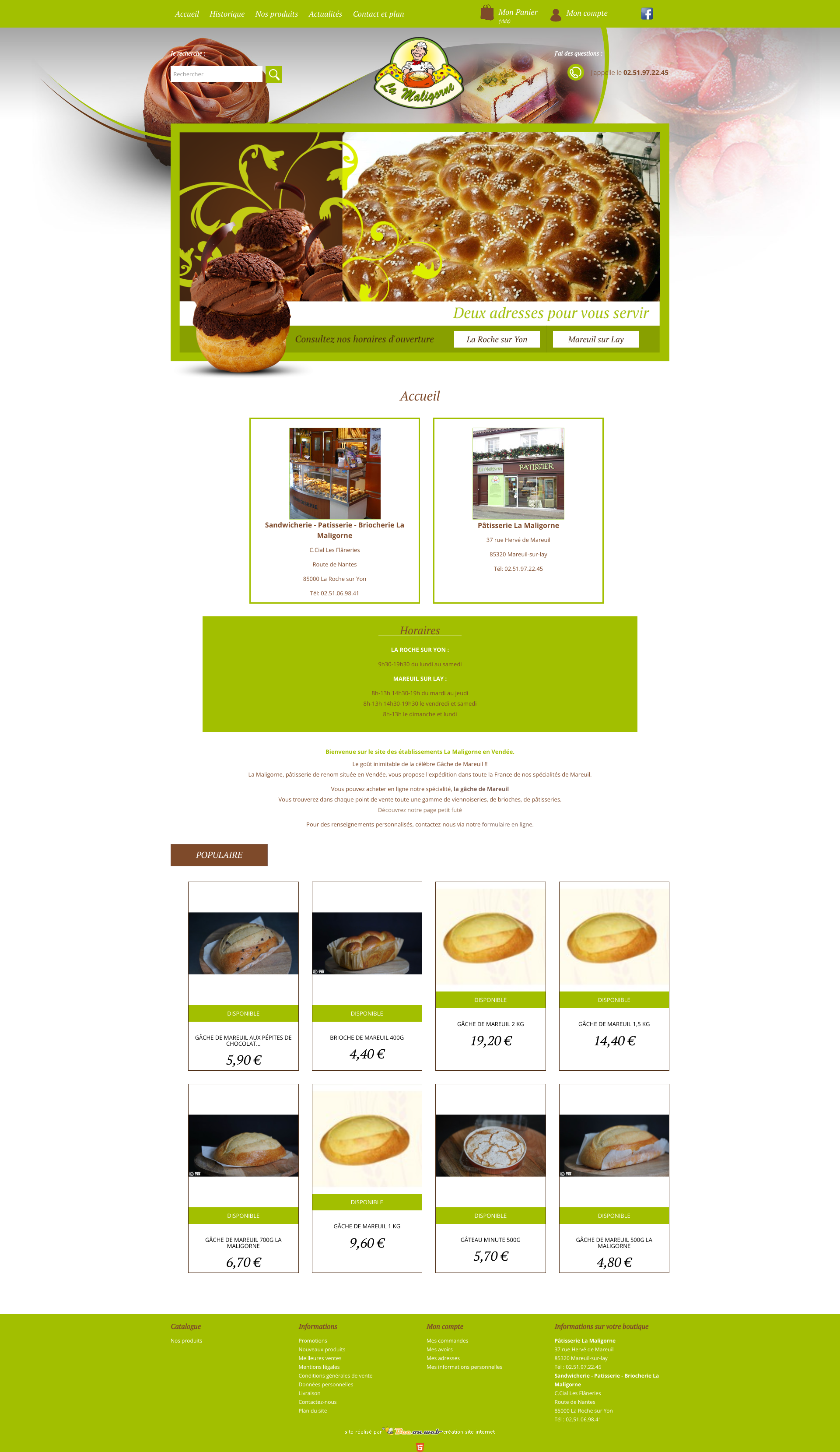 Aperçu du site