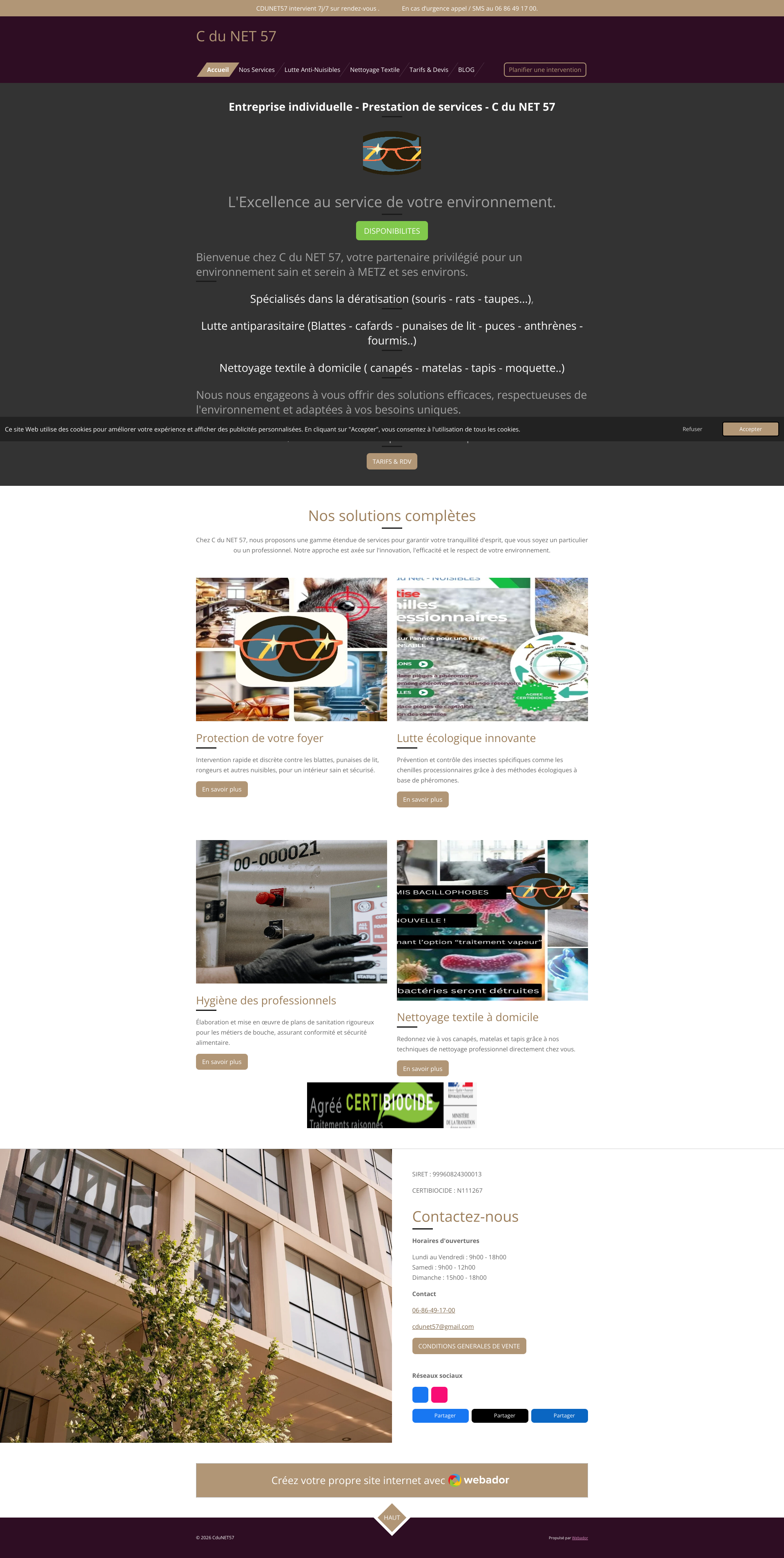 Aperçu du site