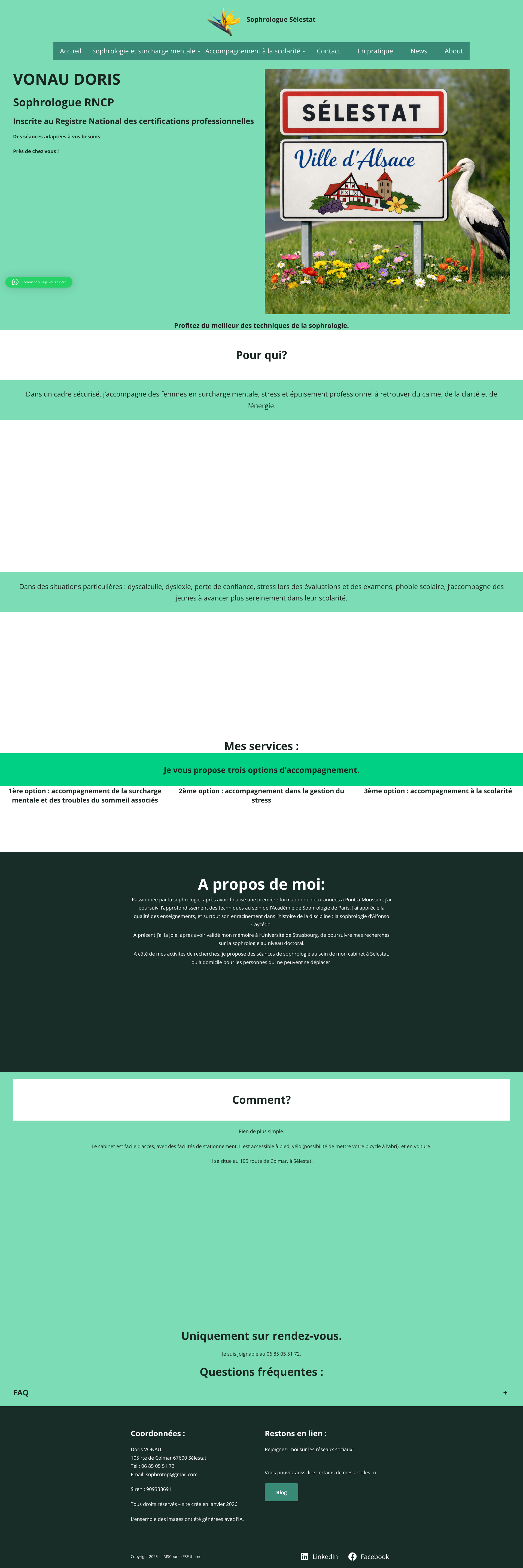 Aperçu du site