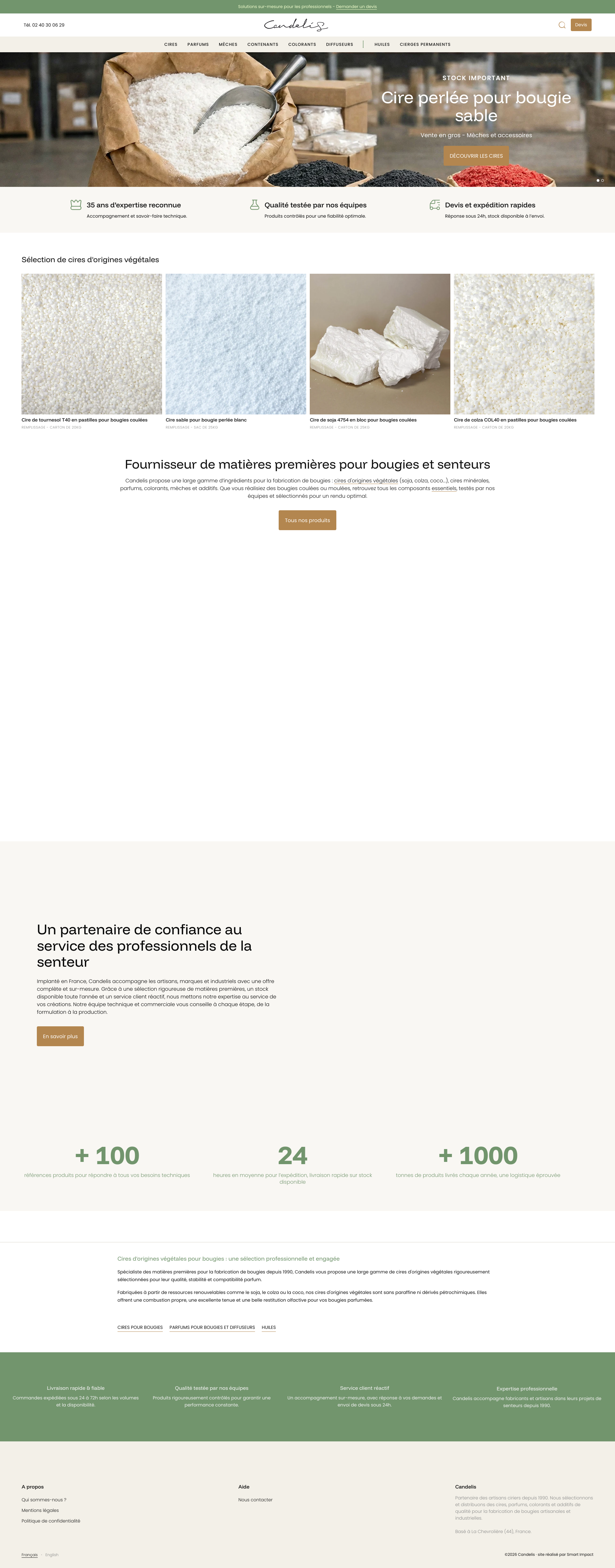Aperçu du site
