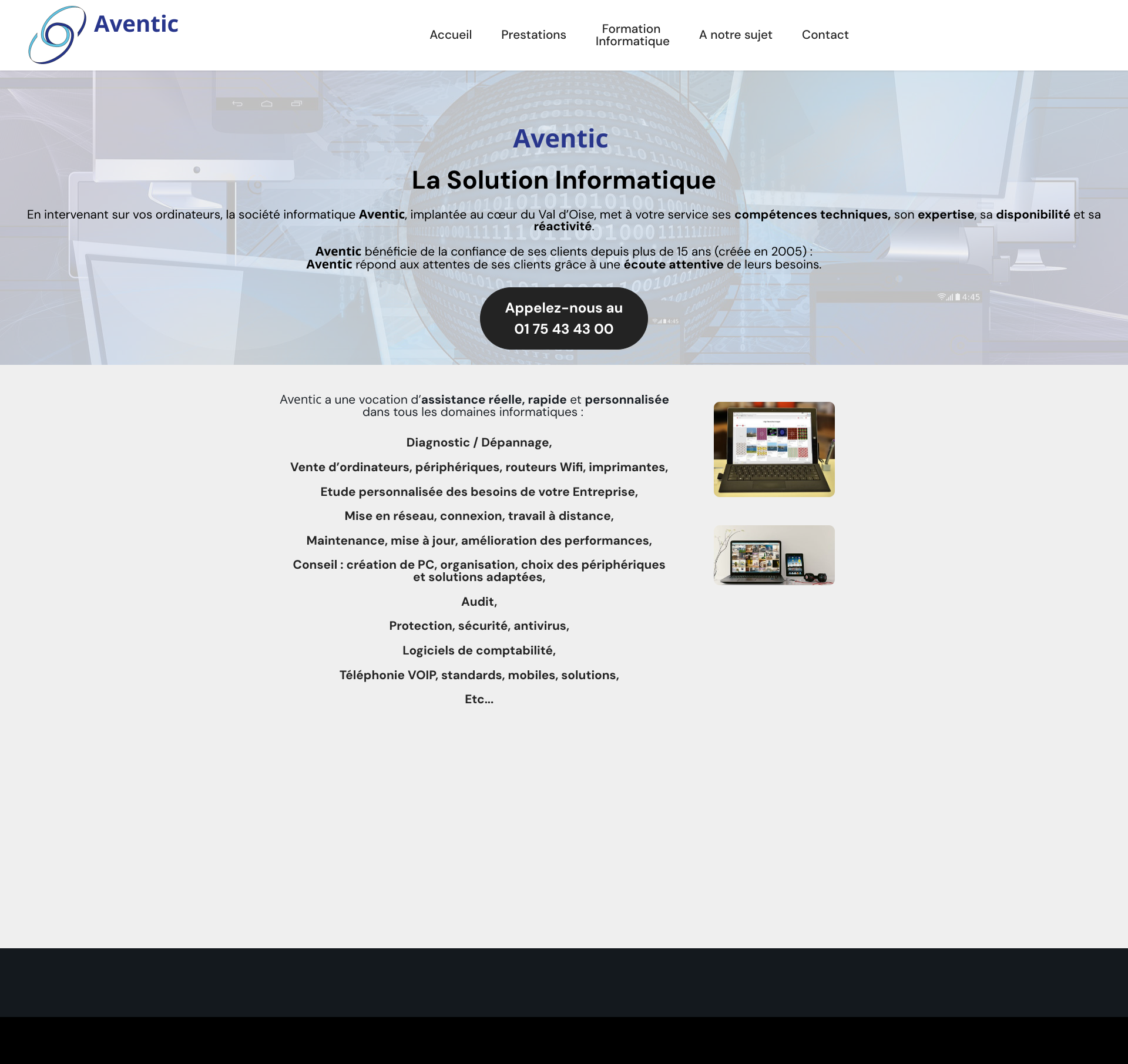 Aperçu du site