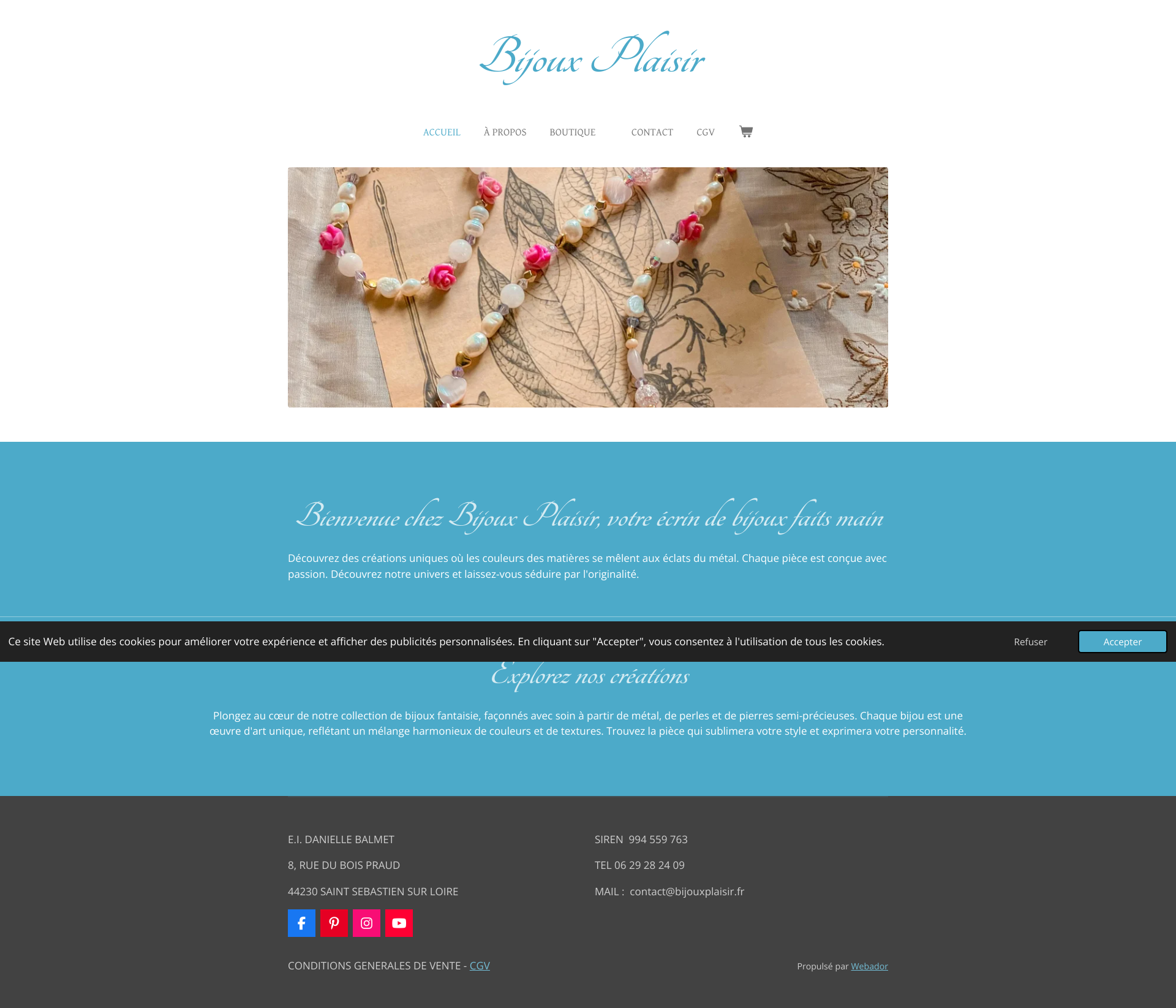 Aperçu du site