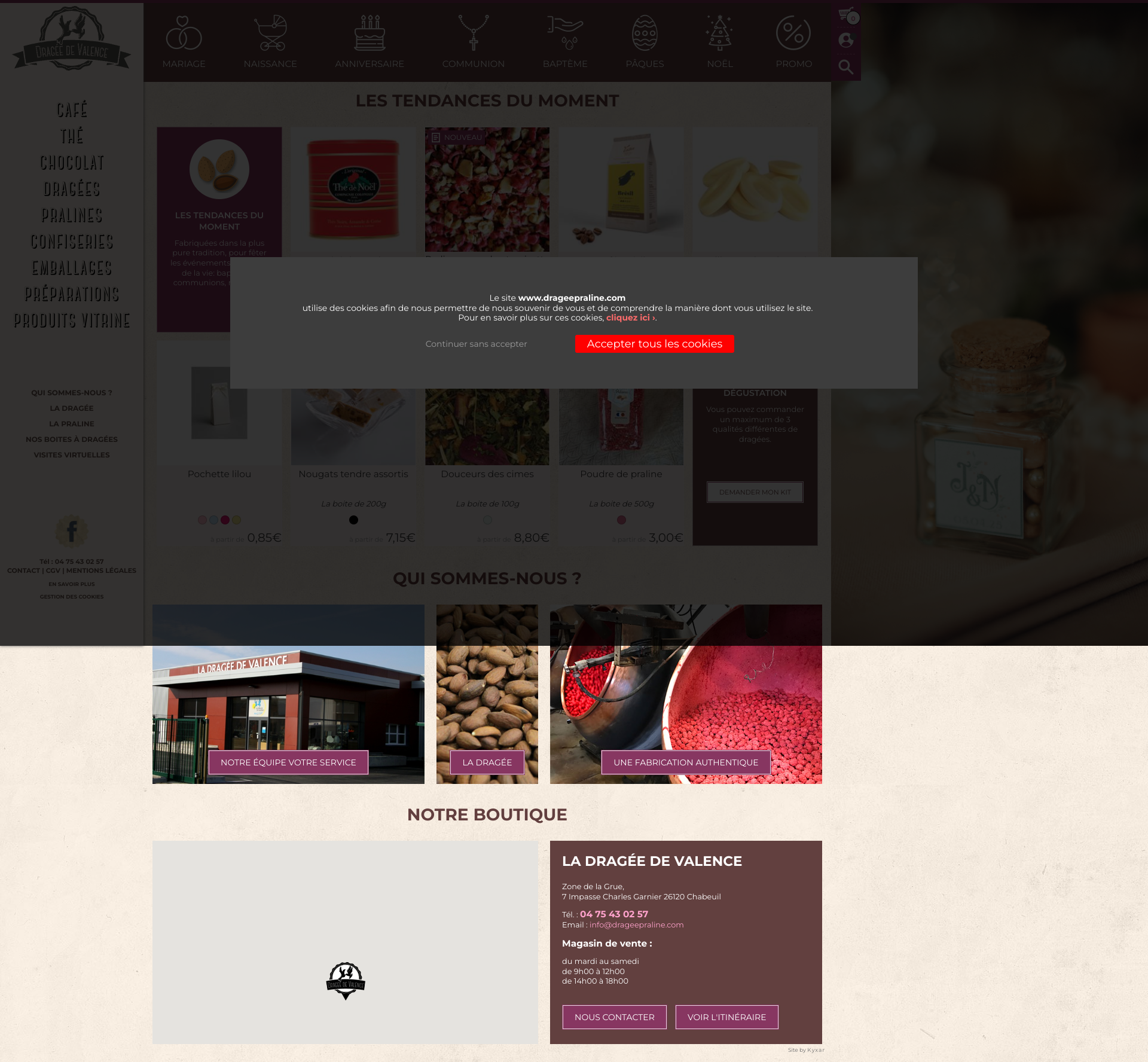 Aperçu du site