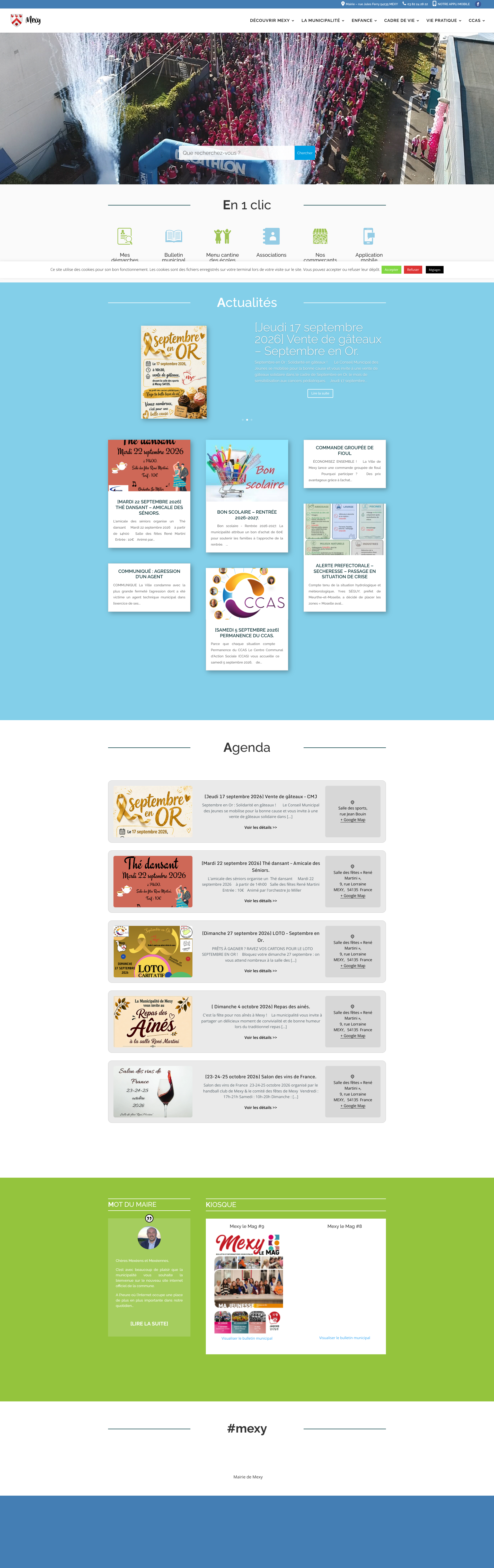 Aperçu du site