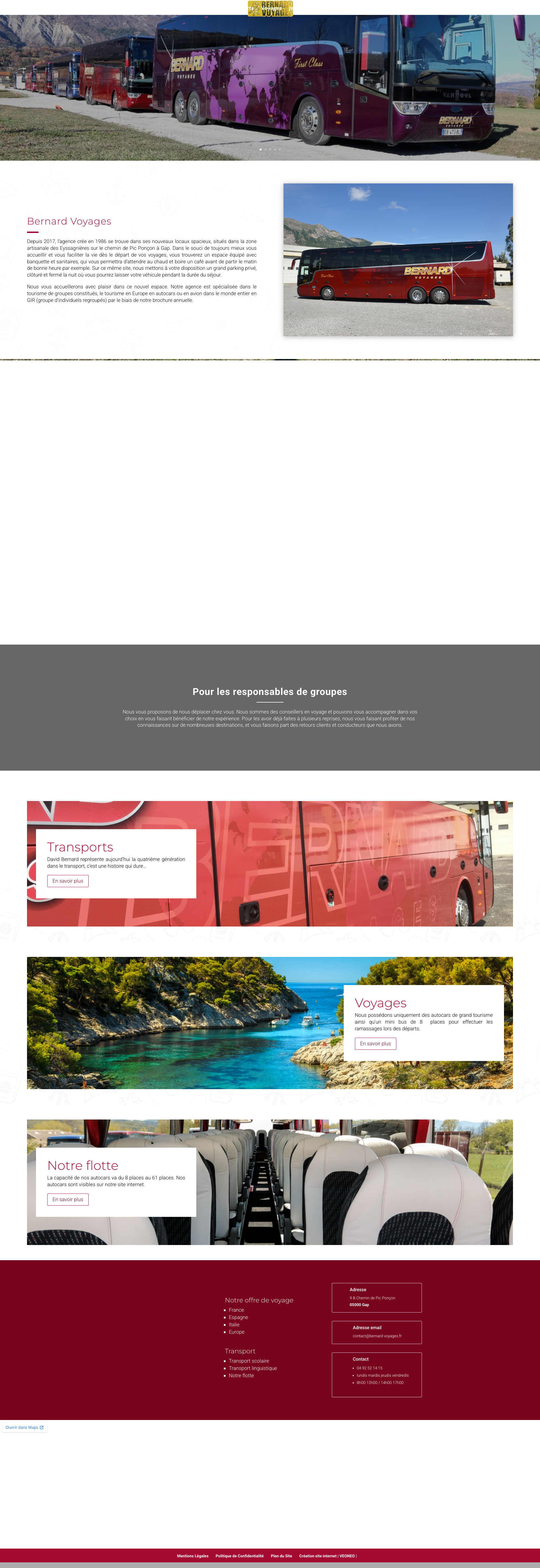 Aperçu du site
