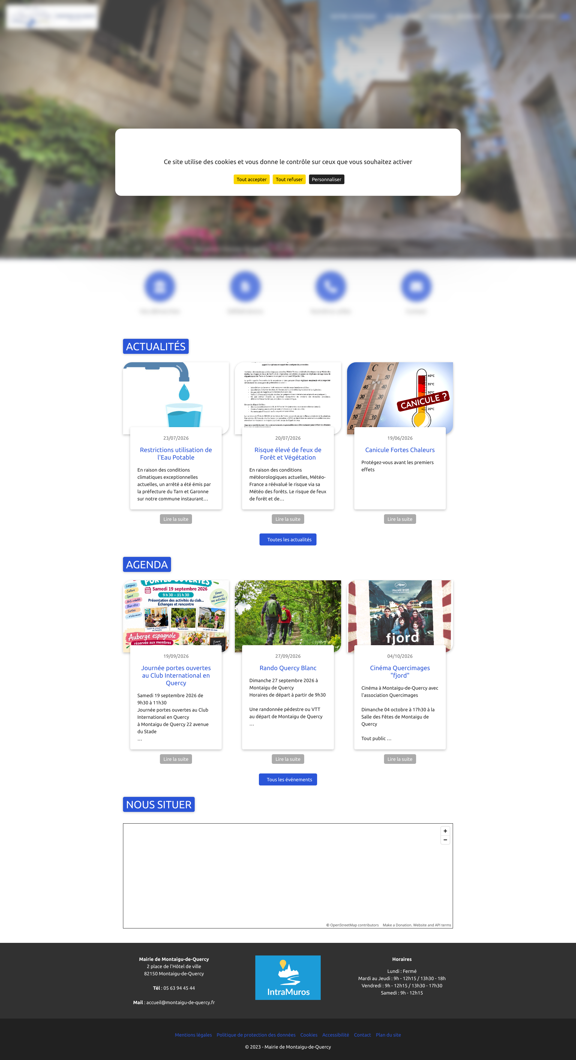 Aperçu du site