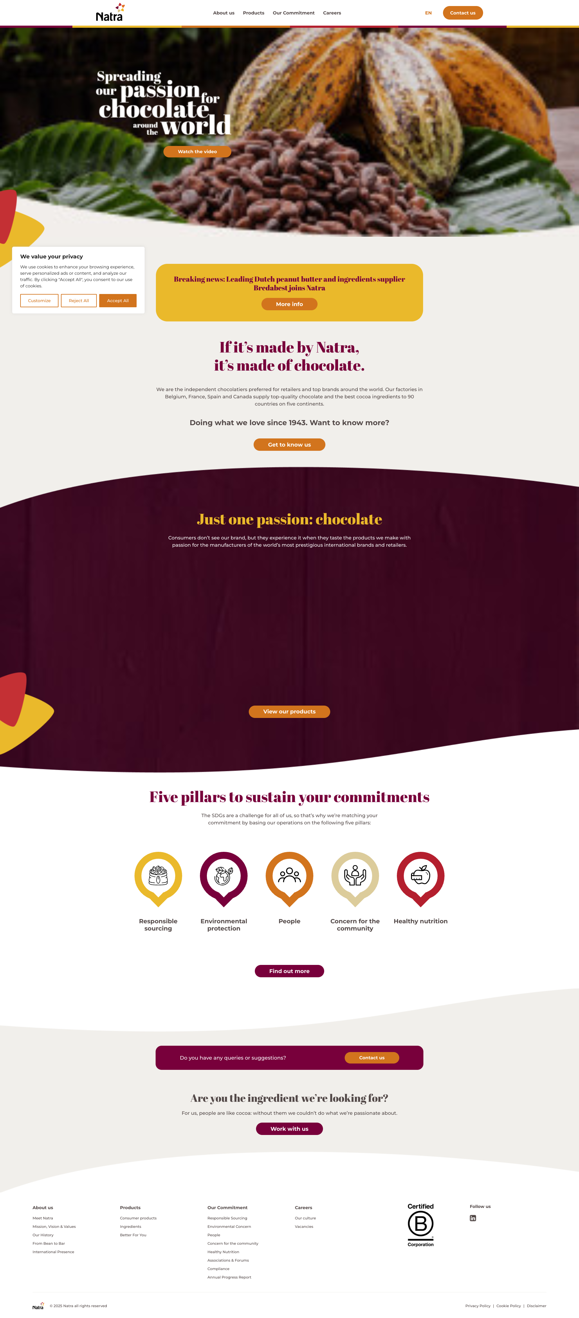 Aperçu du site