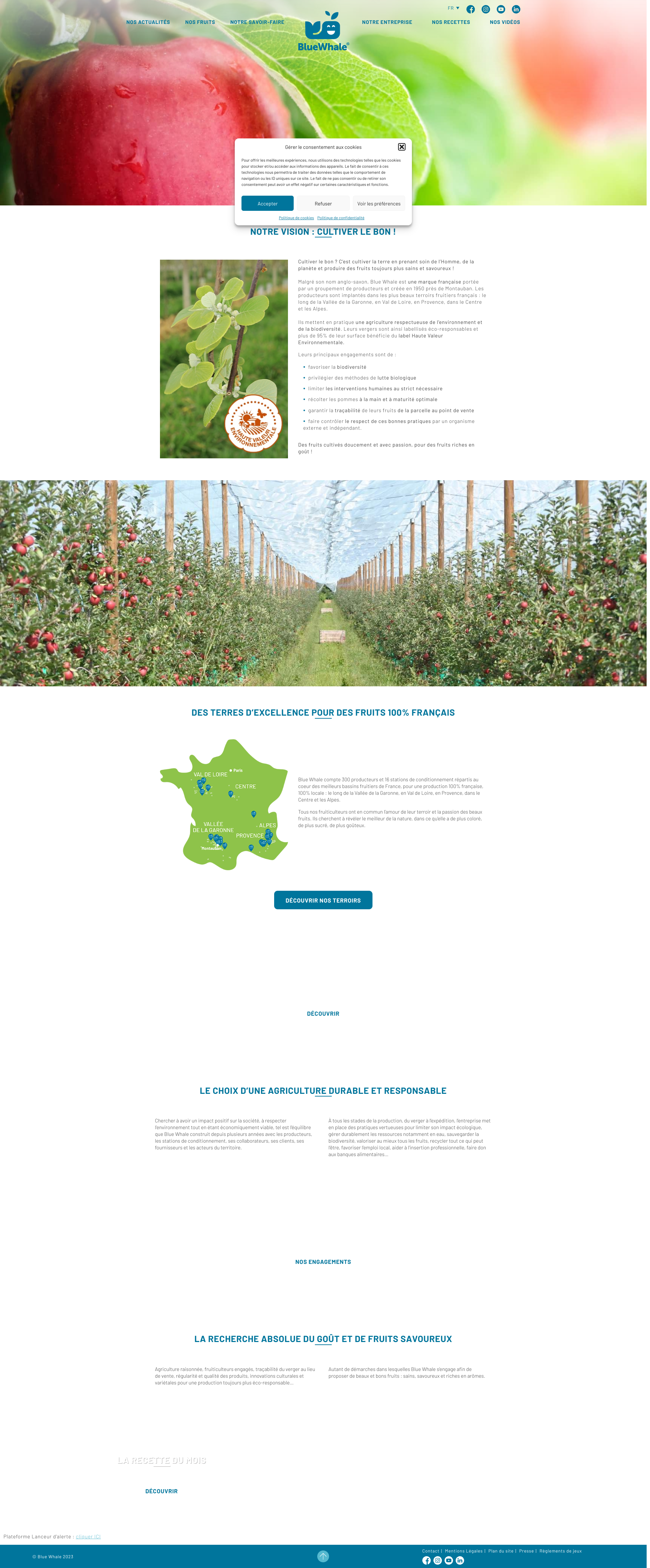 Aperçu du site