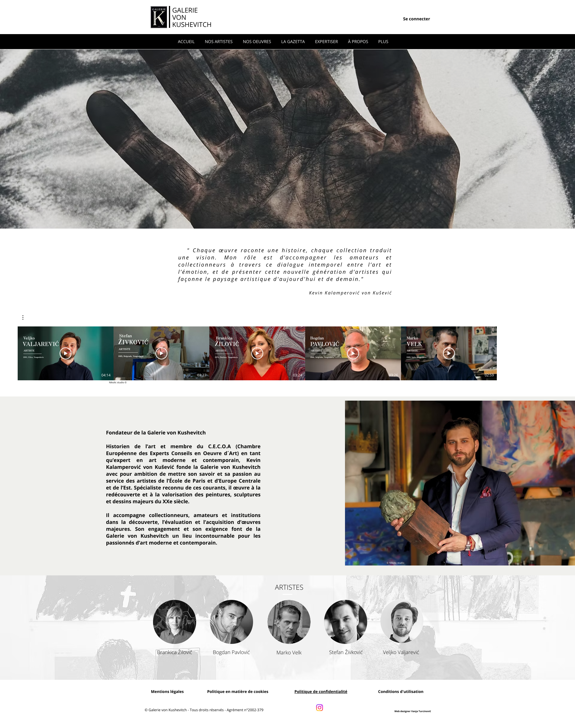 Aperçu du site