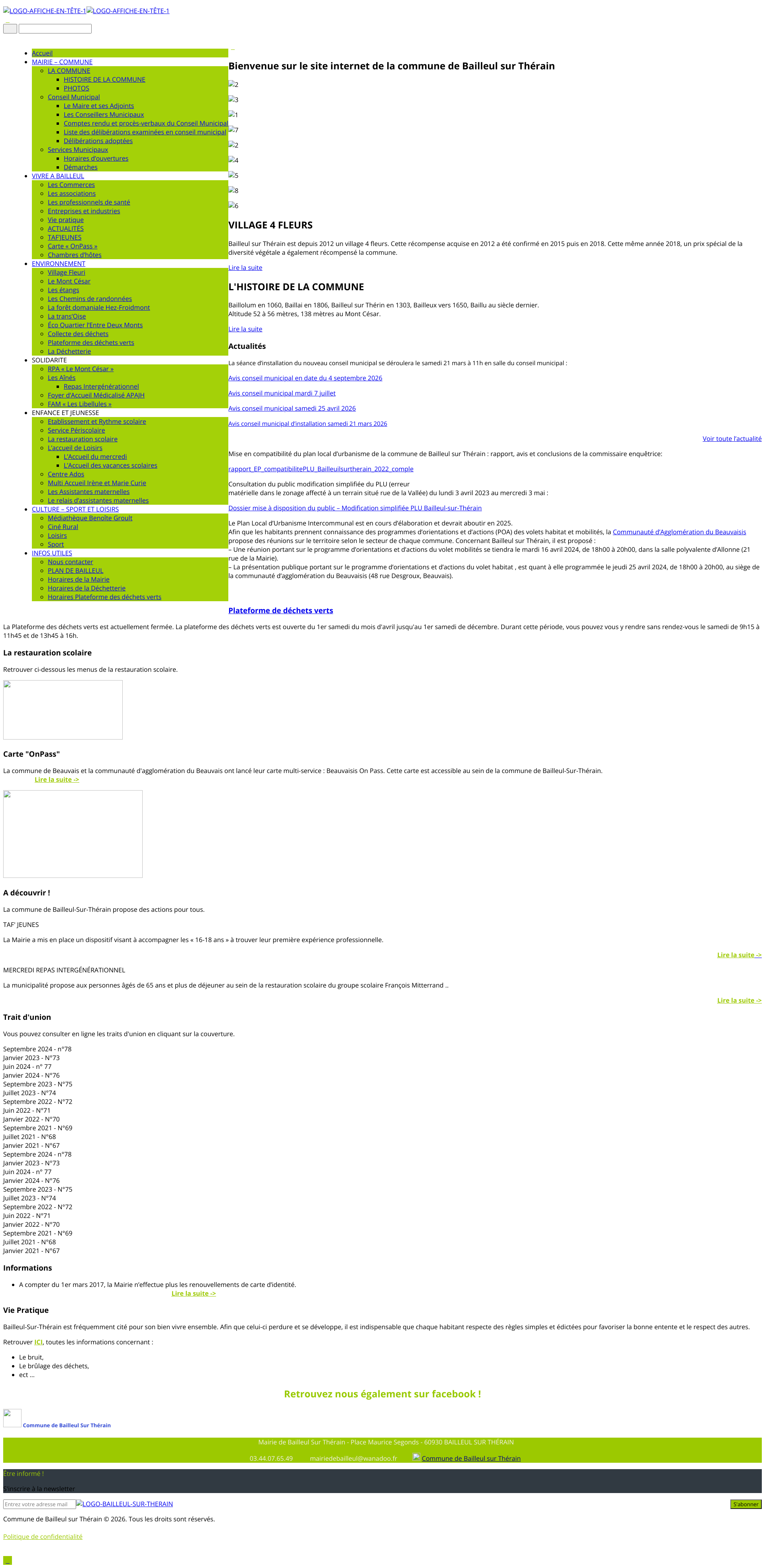 Aperçu du site
