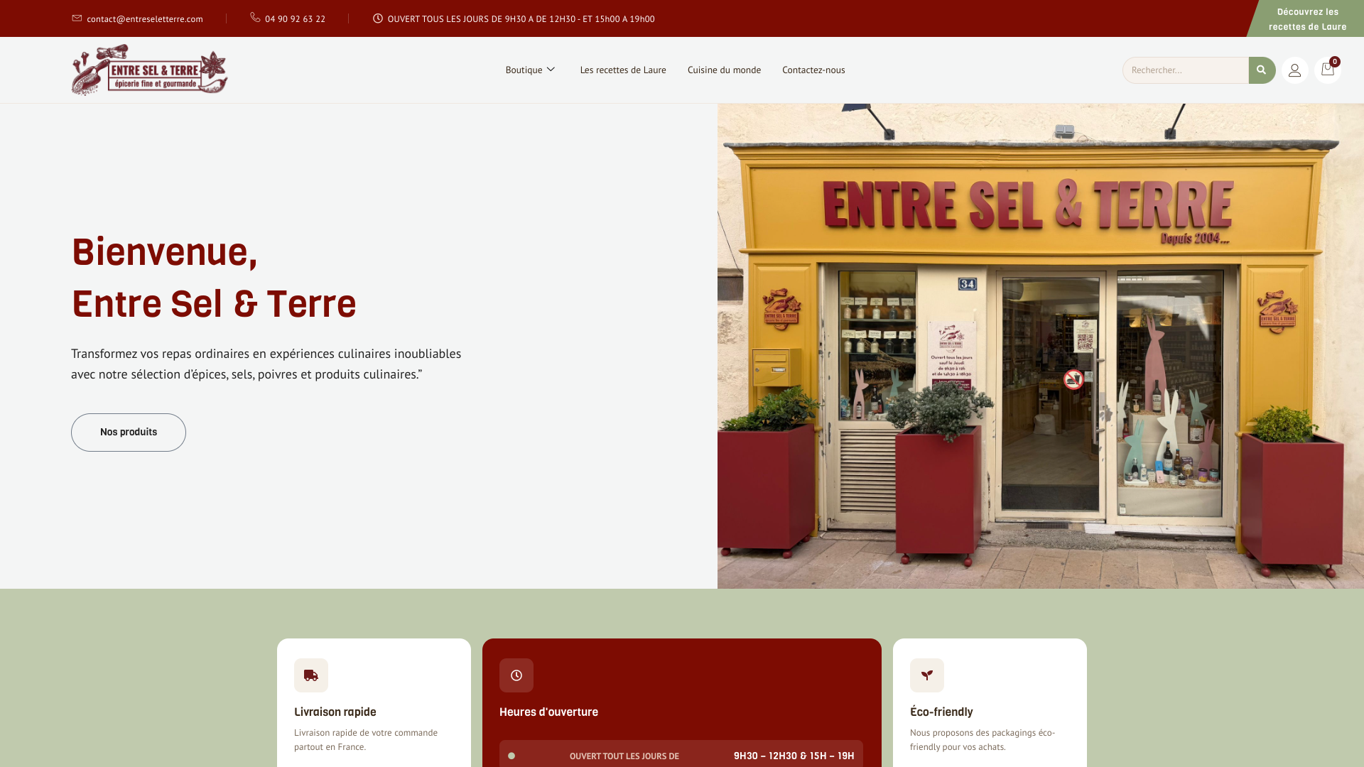Aperçu du site