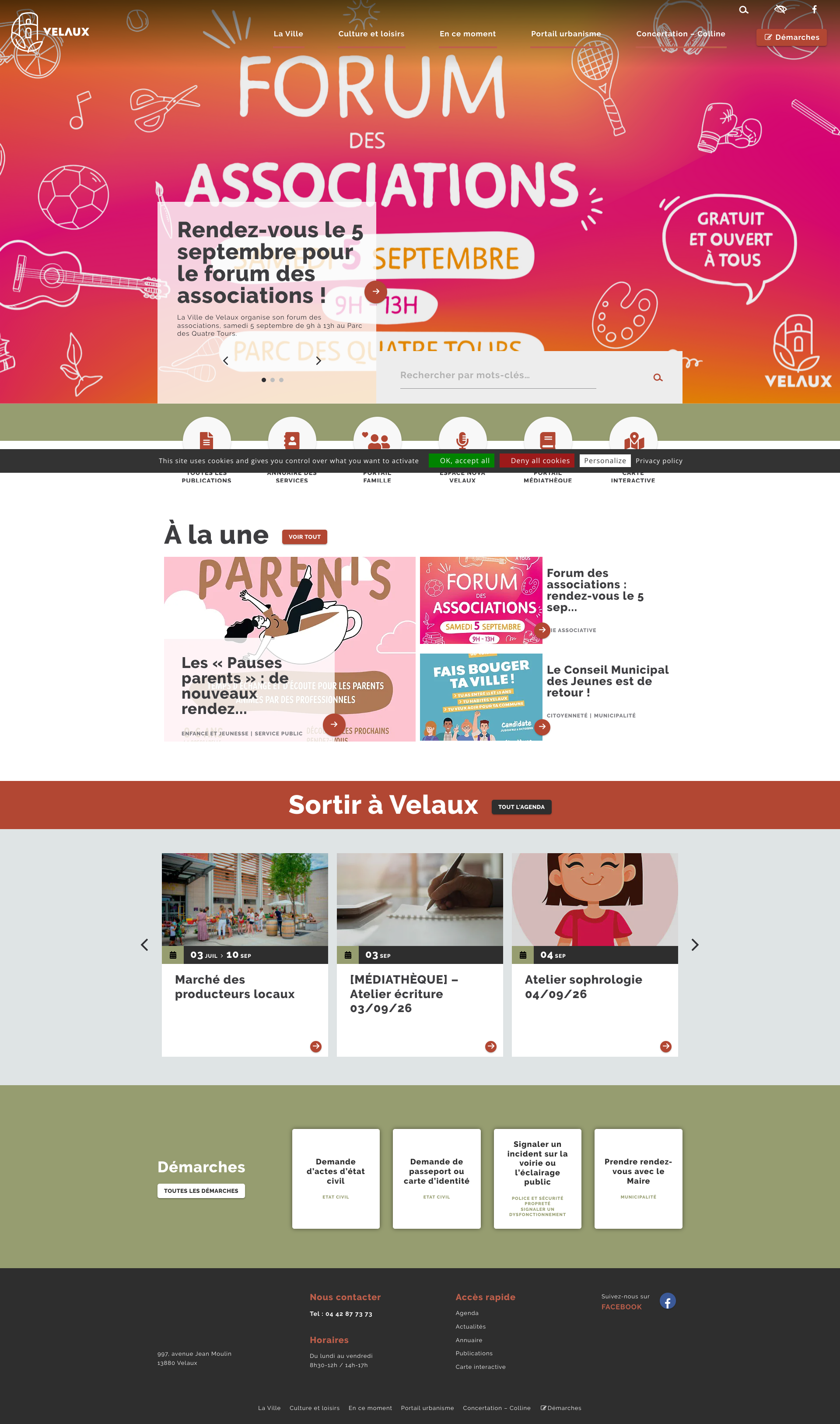 Aperçu du site