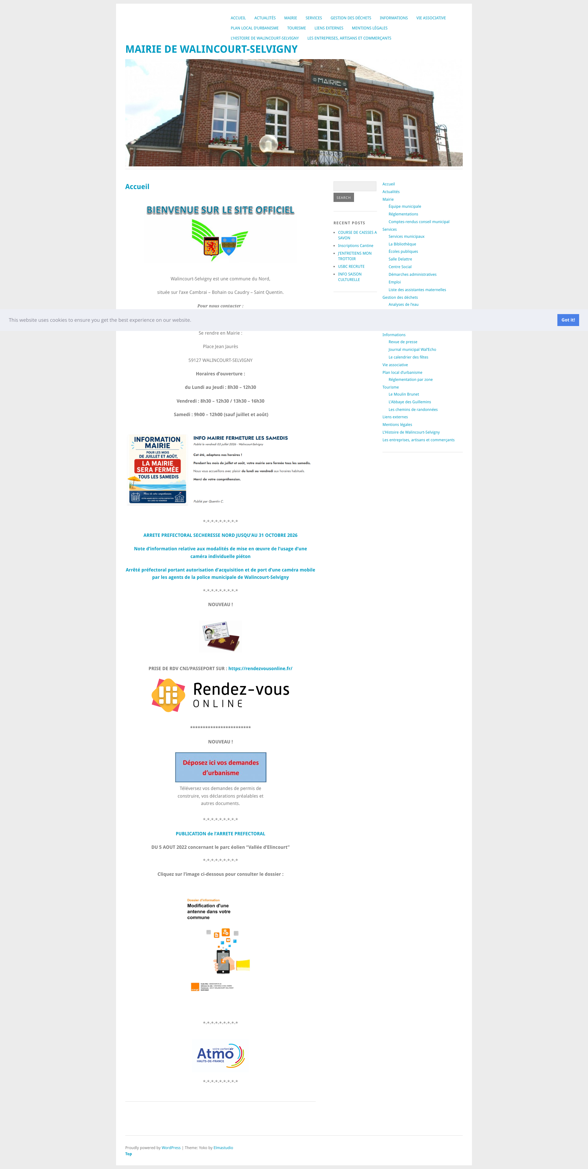 Aperçu du site