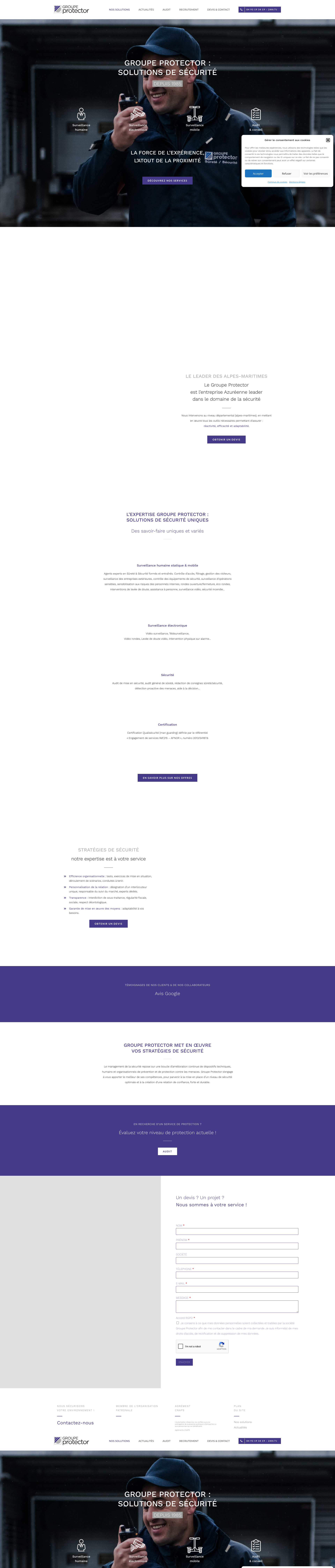 Aperçu du site