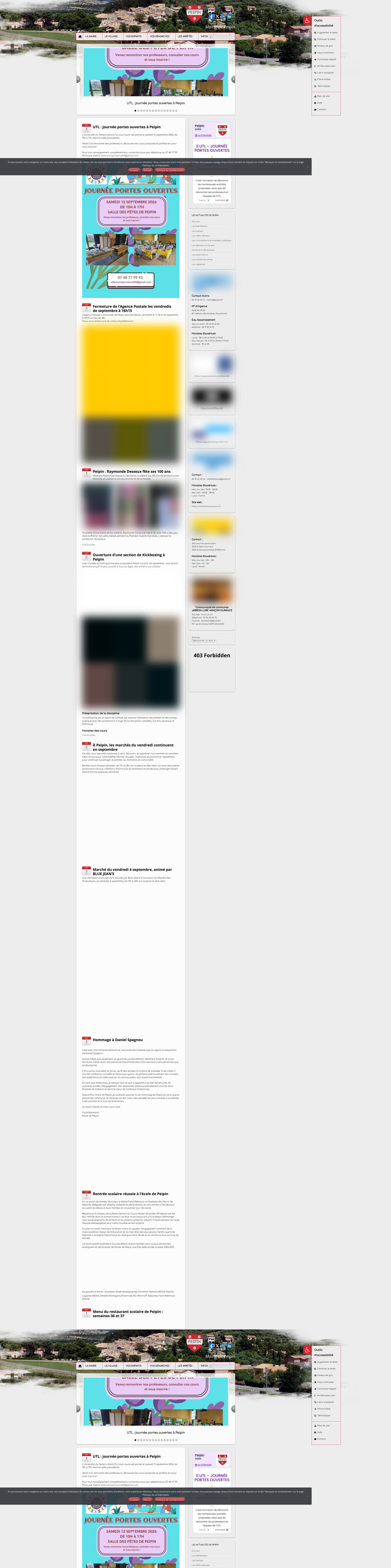 Aperçu du site
